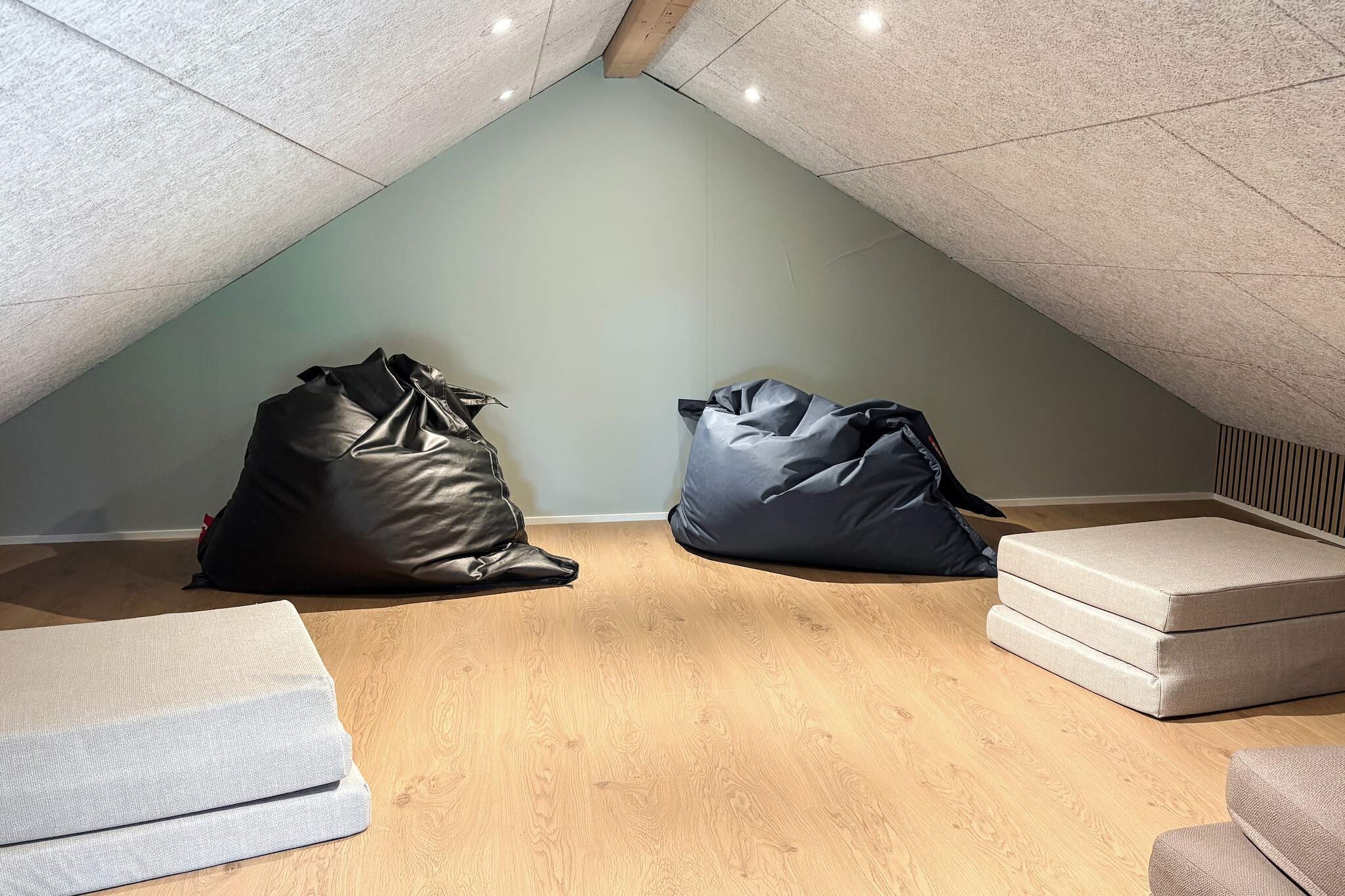 Luxury Villa near Kattegat Beach - Indoor