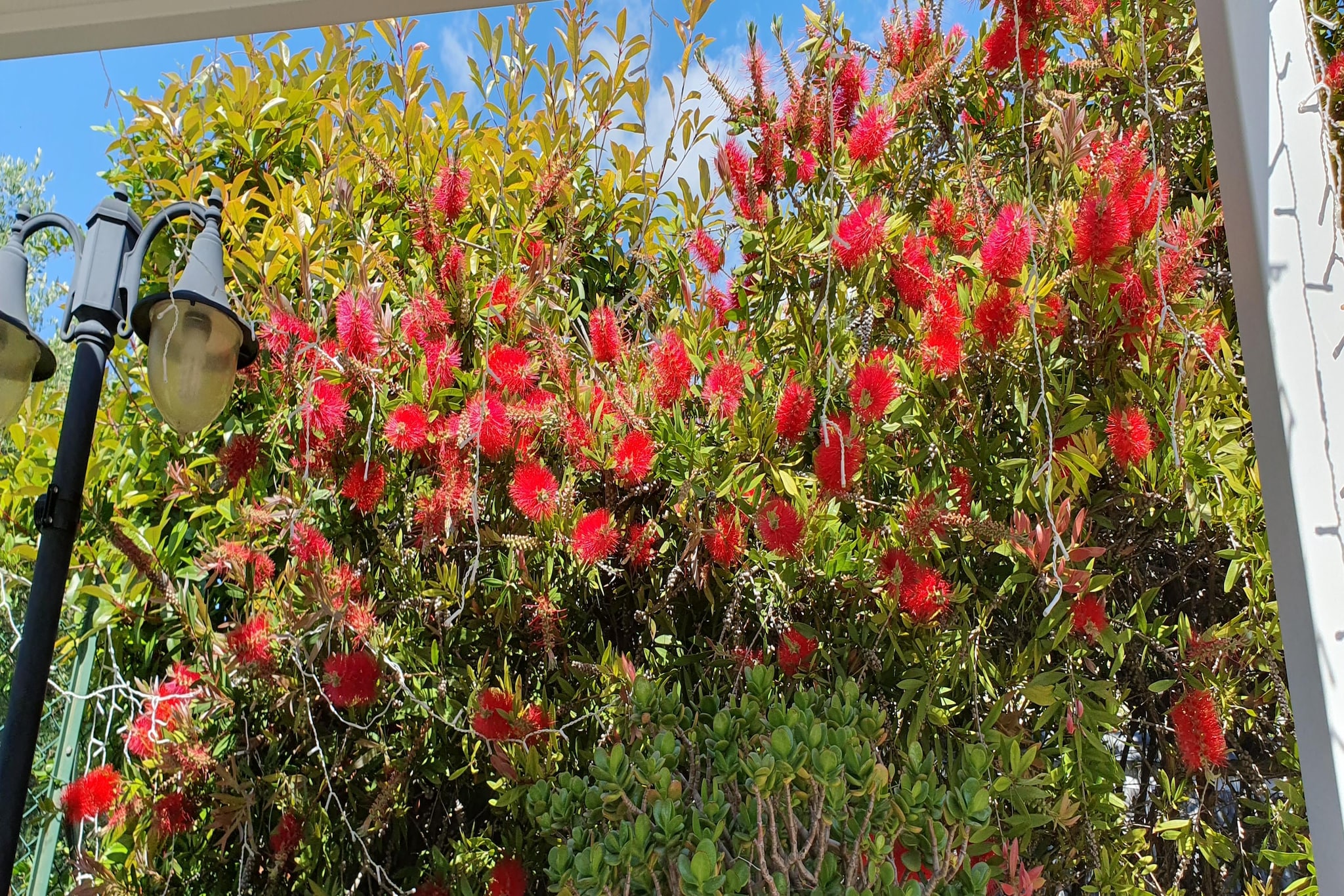Charmante Villa mit drei Apartments und Meerblick-Jardins en été
