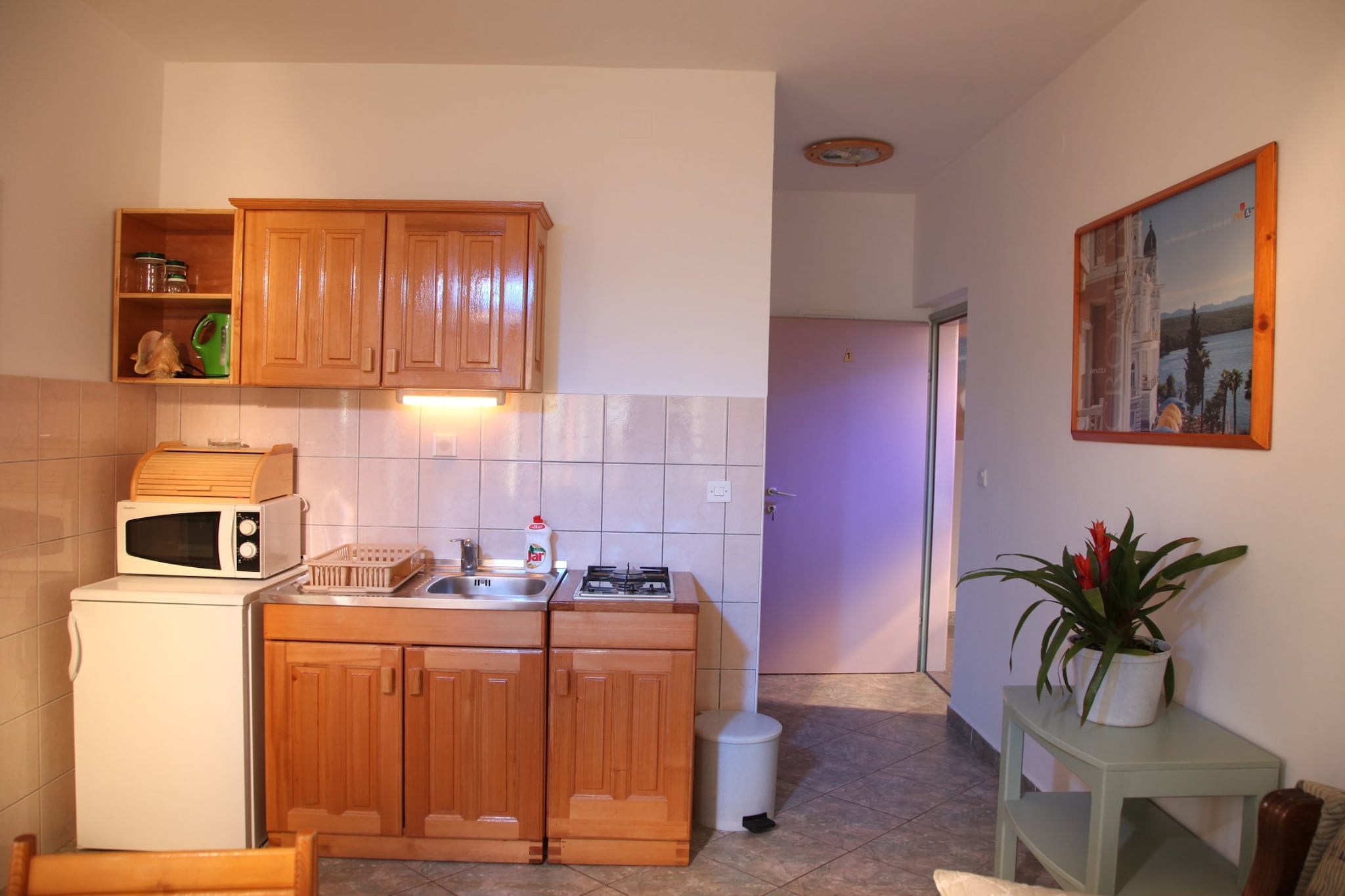 Apartments Gabi - One Bedroom apartment with Sea View (A1)