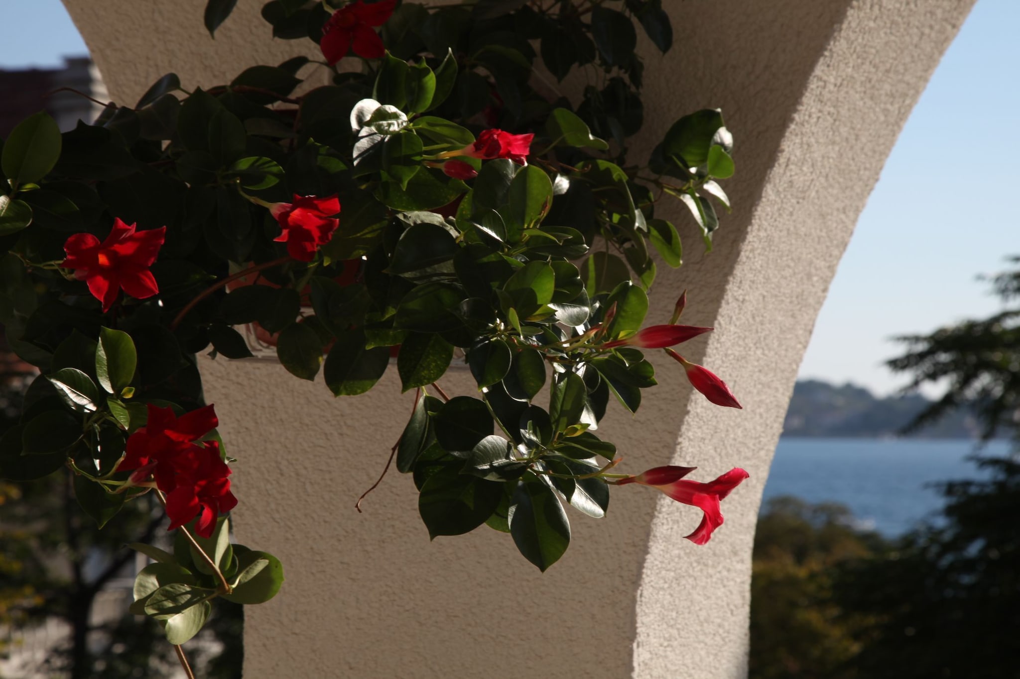 Apartments Gabi - One Bedroom Apartment  with balcony and sea view(A4) - Terrasbalkon