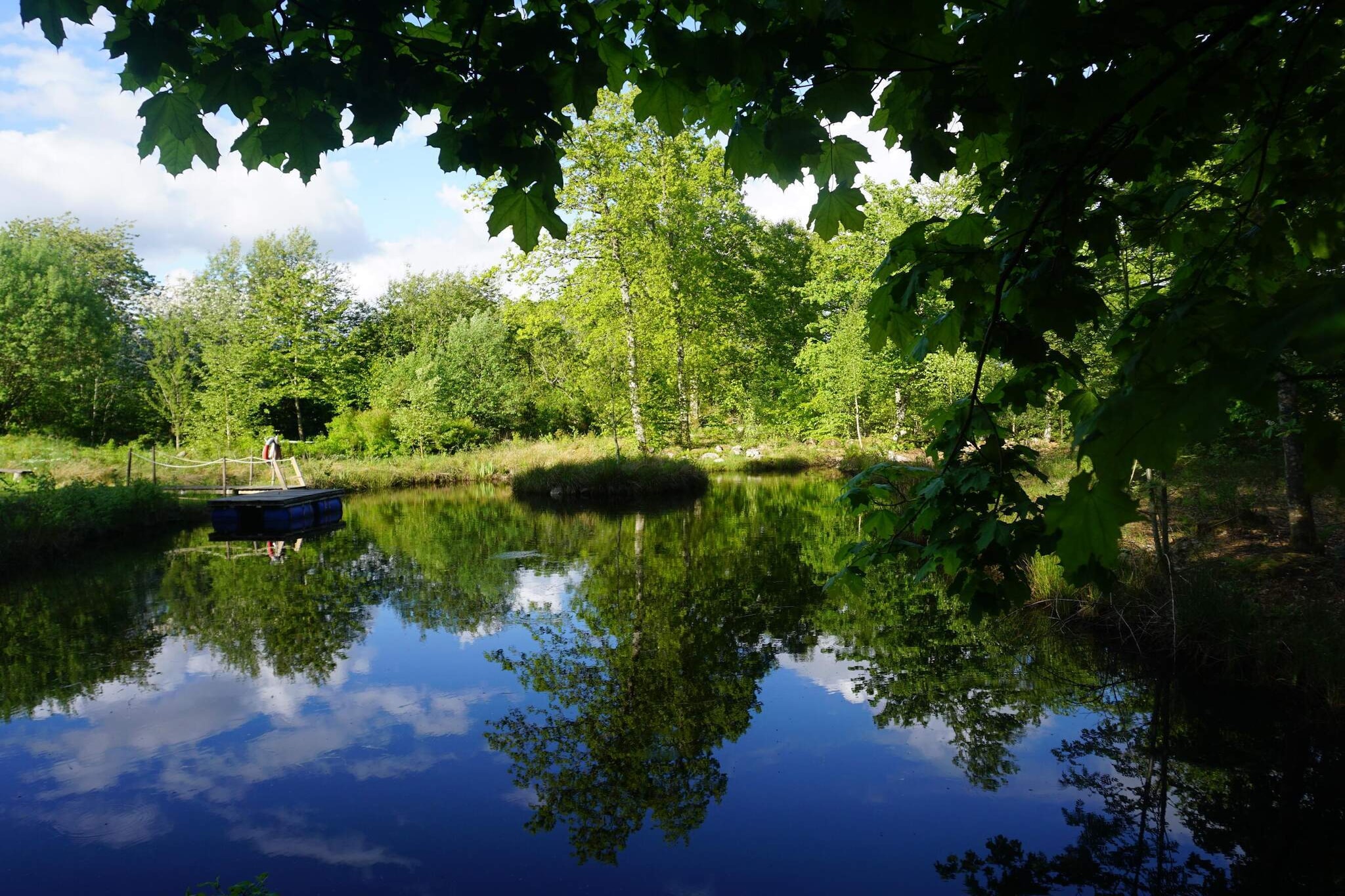 Welcome to "Paradise" in beautiful Österlen for a pleasant stay all year round. The house is extended with modern and stylish choices in an open plan. On the very large plot there is also a guest house to live in, which makes the house available for more than one family to share during the holiday. The pond in the garden invites activities for both young and old with a barbecue area adjacent. A smaller playground with a slide and swings is available to have fun with. A relaxing moment in a nice place in this environment is a safe holiday activity for the best recovery. The heart of the house is the living room which has a panoramic view of the lovely garden with the pond below. Patio door out onto the spacious wooden deck which has a large area with a roof over the dining area. The kitchen is fully equipped for self-catering and has a kitchen island to cook at. In the kitchen you can also gather for shared moments in relaxing armchairs or in a sofa bed for two and enjoy the fire which provides a high cosiness factor and comfortable warmth, wood is included in limited quantities. One of the bedrooms has 2 single beds and the other has a double bed with its own exit to the terrace. Very fresh bathroom with shower. The annex has two entrances, one of which leads into a room with a double bed and a sofa bed for one person. There is also a bathroom with a shower that can also be reached from two directions. The laundry room with washing machine, dryer and refrigerator also has its own entrance from the outside for best accessibility by everyone during the stay. In summer, the lush garden is full of fruit trees and berry bushes that you are welcome to pick. The plot borders Christinehofs castle with an eco-park where there are many hiking trails to discover nature in all seasons. Along Backaleden, which is a hiking trail that can take you from Alunbruket and over Brösarpsbackar to the sea bath in Haväng. Here you also pass Skåne's highest waterfall with an old mill, Hallamöllan. Nearby is Elgarösbadet with an outdoor pool that is open during the summer for swimming. By car you can get to Brösarp for grocery shopping in a store or restaurant in 15 minutes and further to Kivik's famous apple orchards in another 15 minutes. Electric car chargers are available at the house for an extra cost.