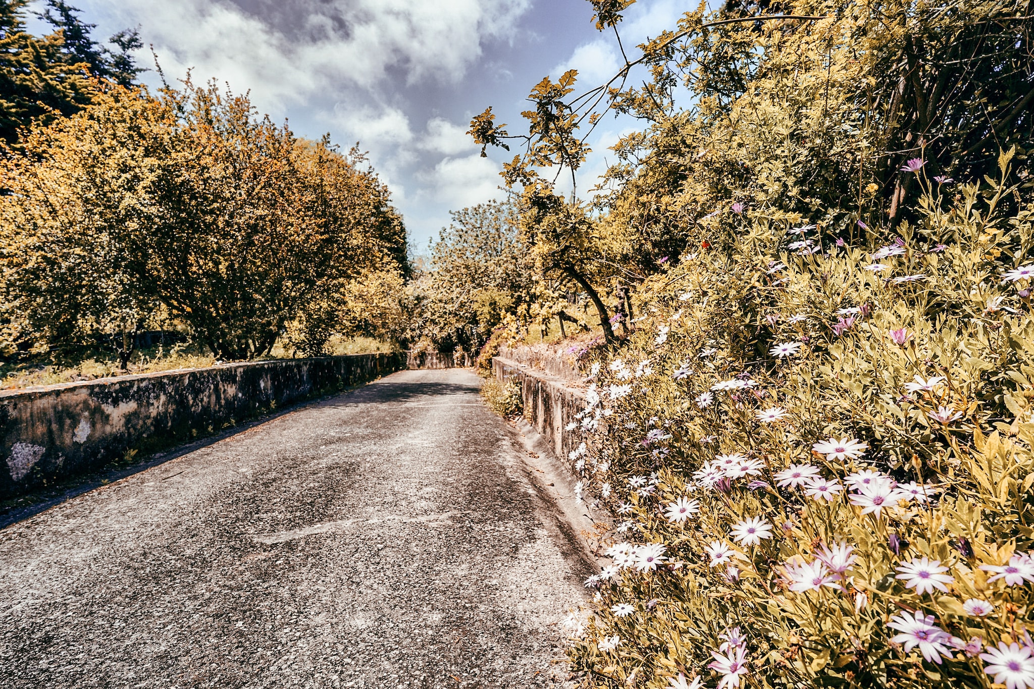 Casa da Rampa By Gt House-Im Freien