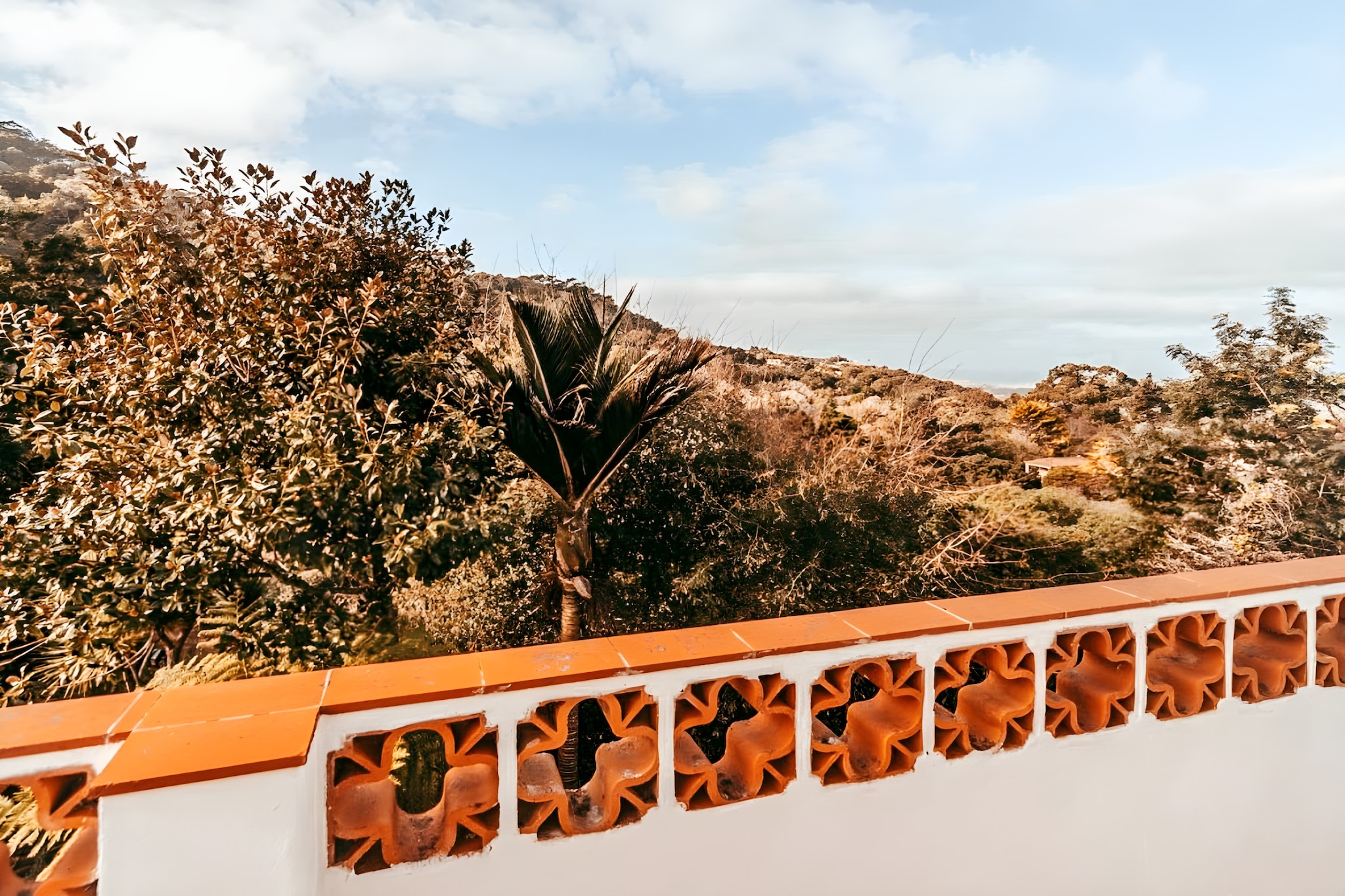 Oliveira's Houses By Gthouse-Terrasse