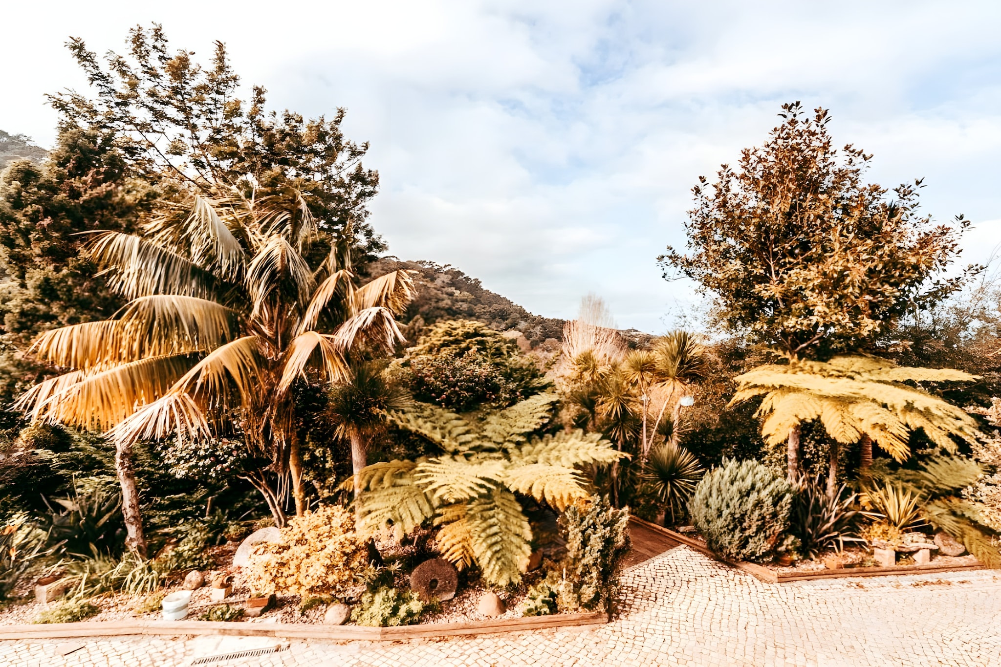 Oliveira's Houses By Gthouse-Im Freien