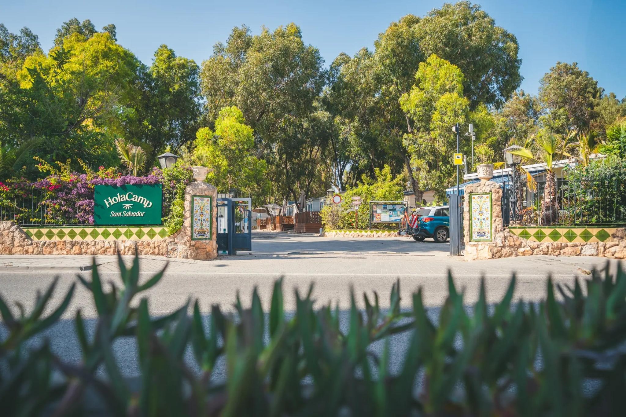 HOLA CAMP SANT SALVADOR-Superior 6-Areas within 1km in summer