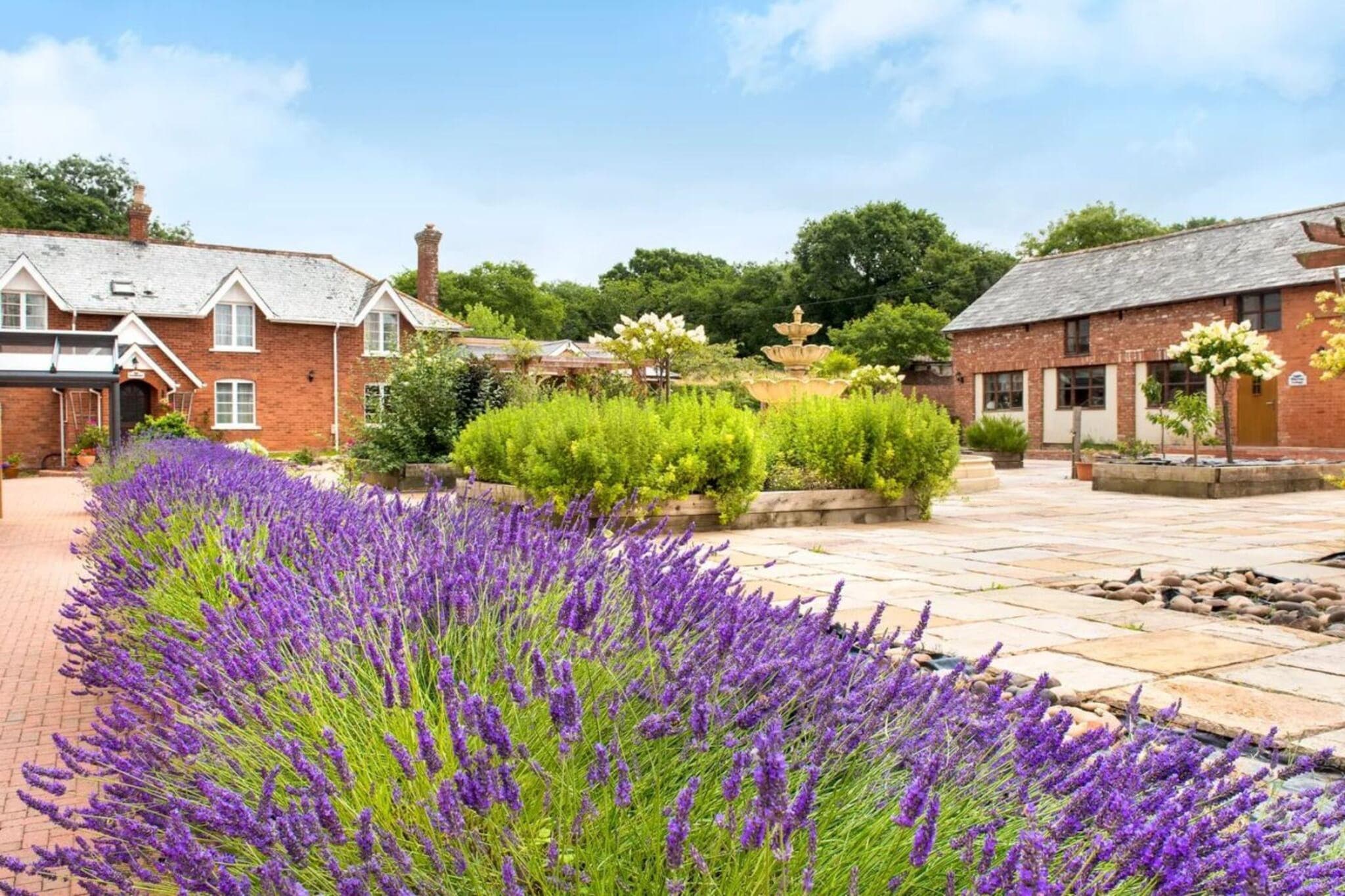 Lime Cottage, Great Houndbeare Farm - Areas within 1km in summer