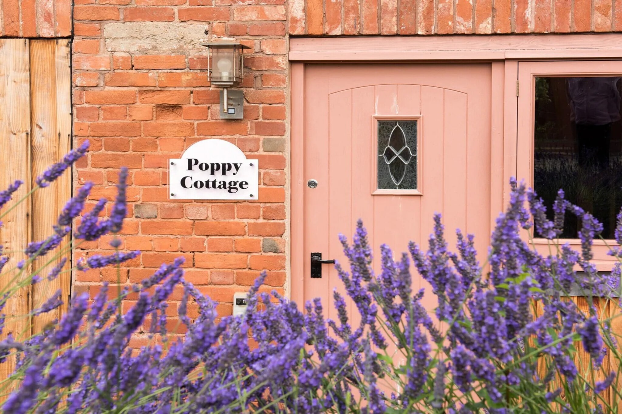Poppy Cottage, Great Houndbeare Farm - Exterior in summer