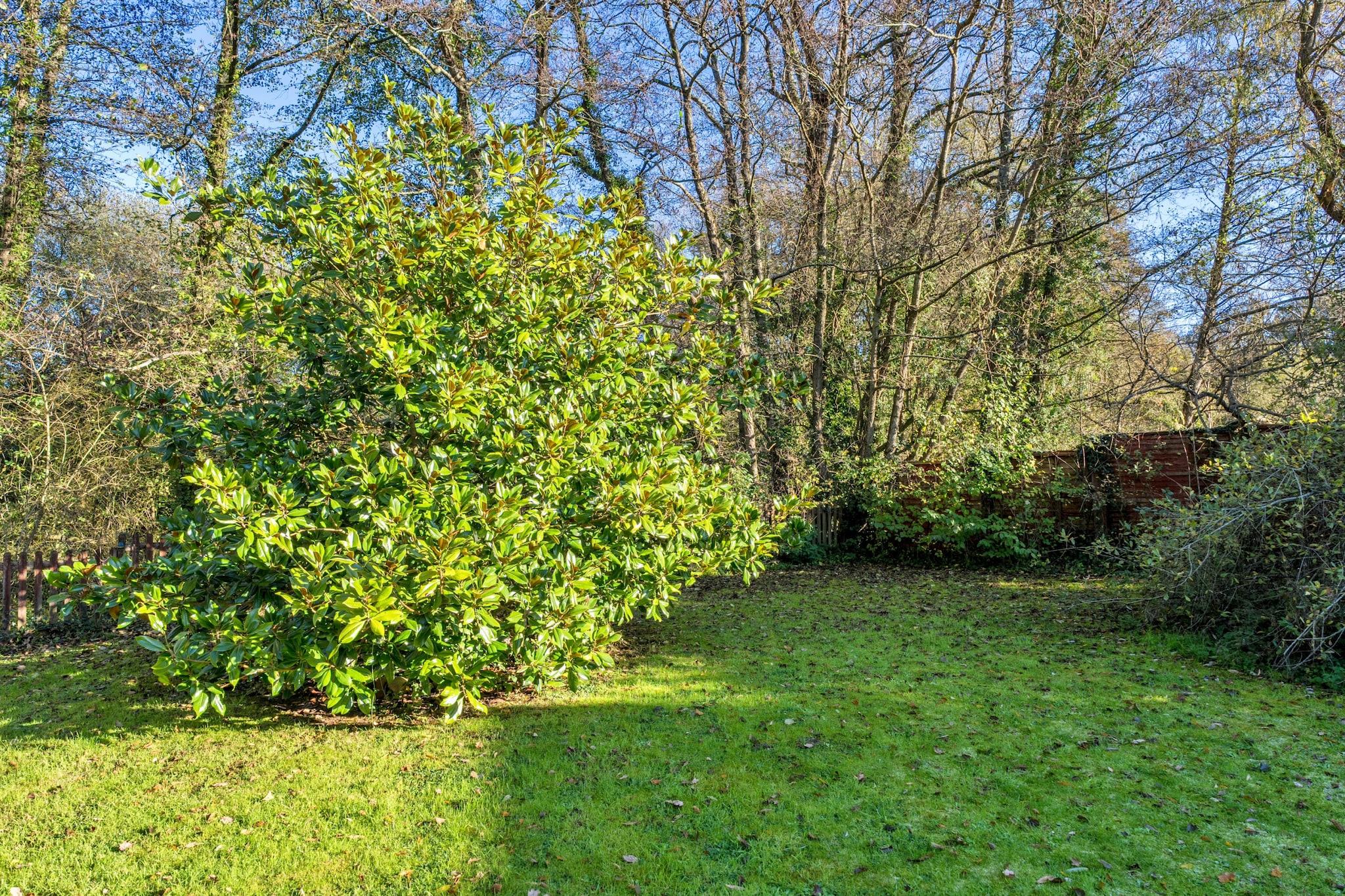 Mill Cottage, Great Houndbeare Farm - Gardens in summer
