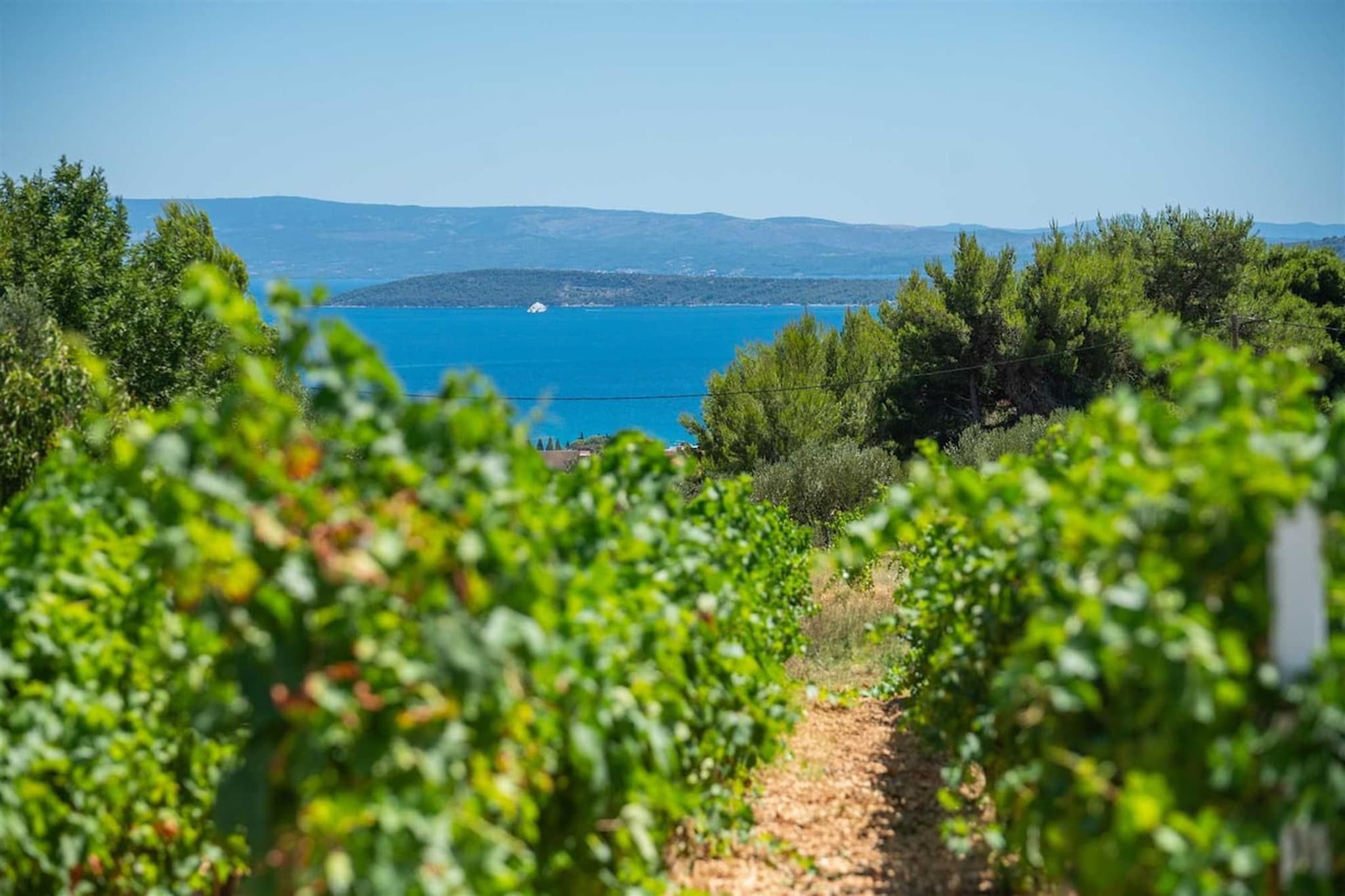 VILLA VISTA VINEA-Tuinen zomer