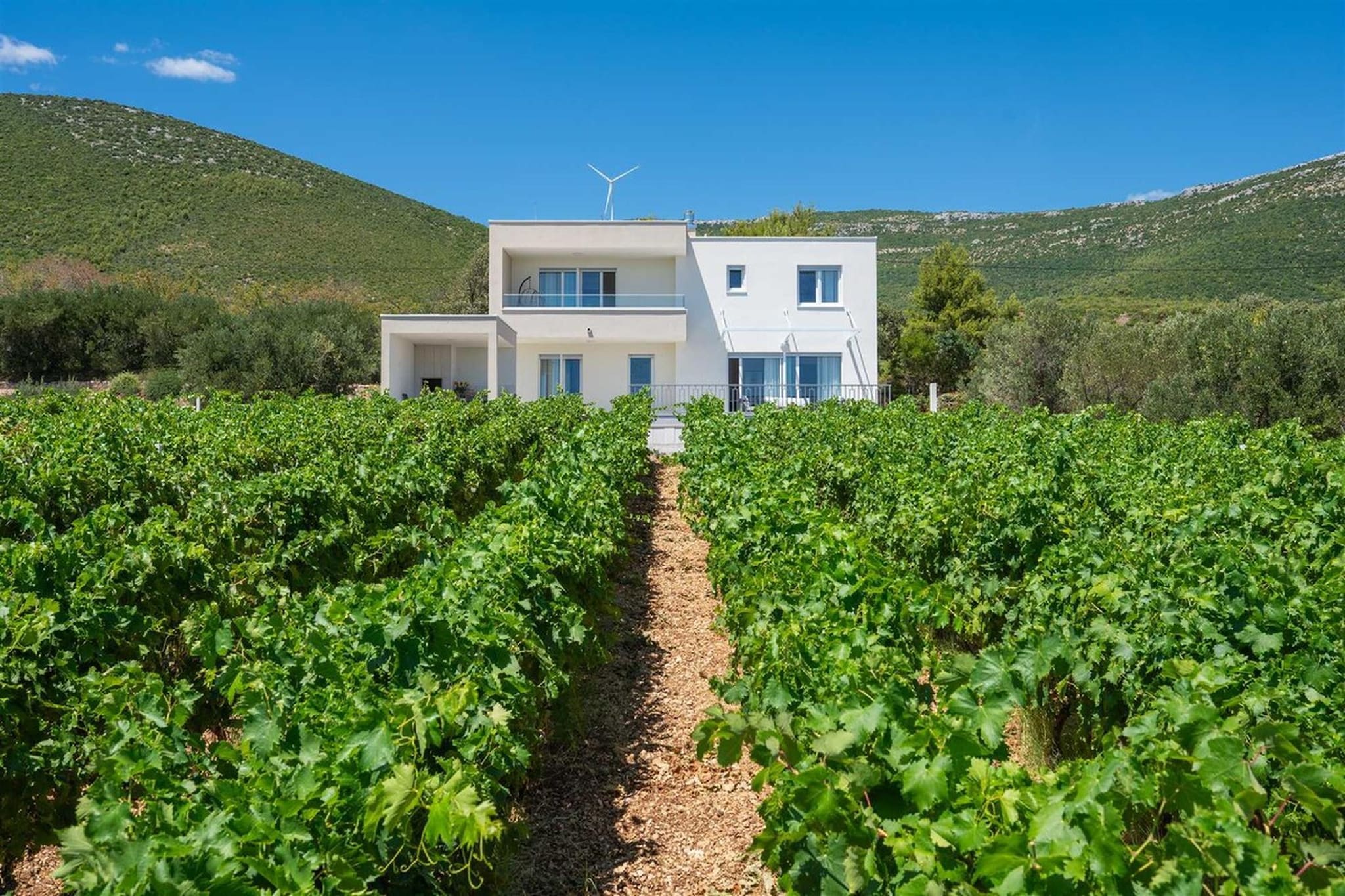 VILLA VISTA VINEA-Buitenkant zomer