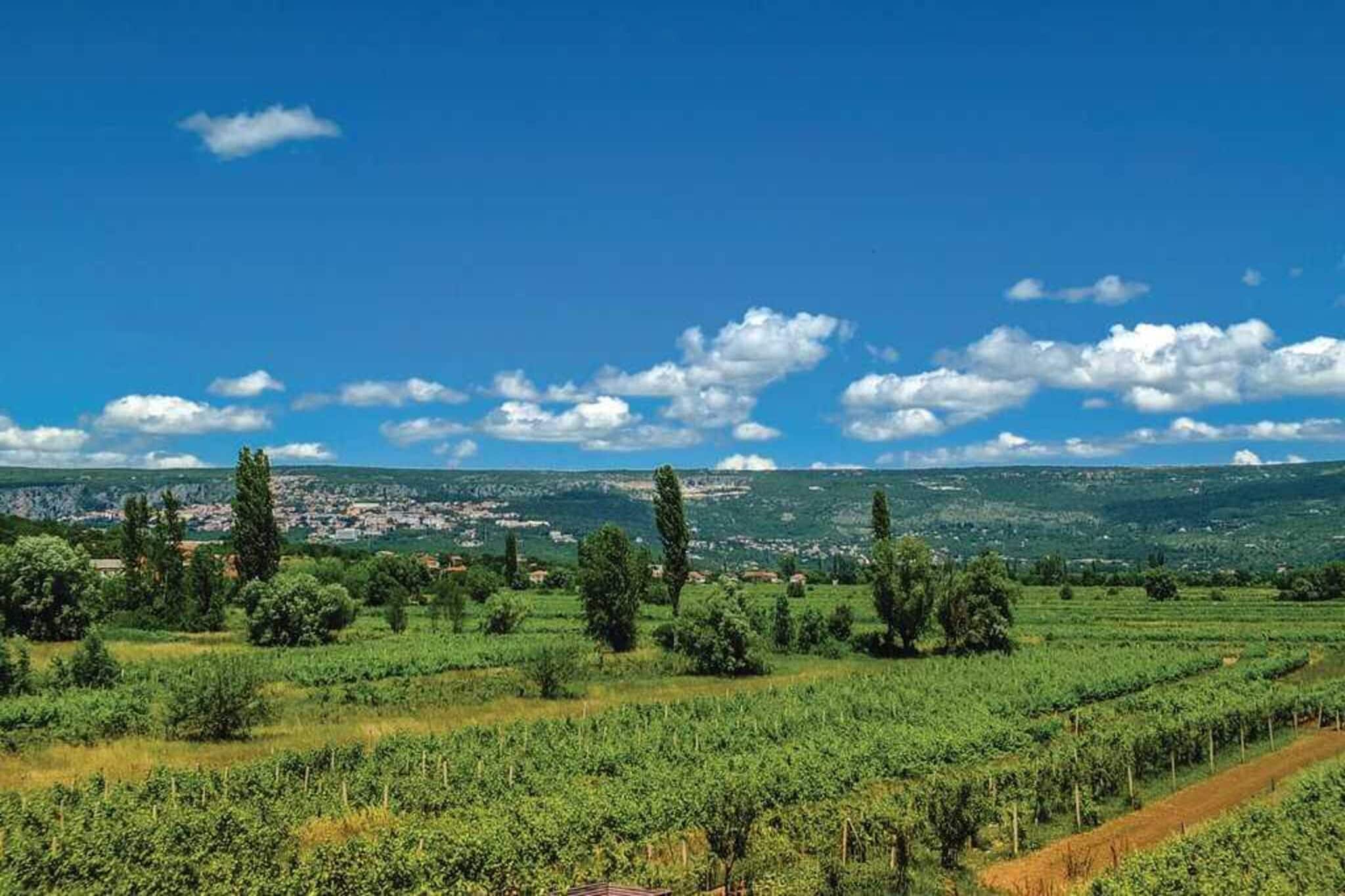 Villa Vinis Terra-Gebieden zomer 5km
