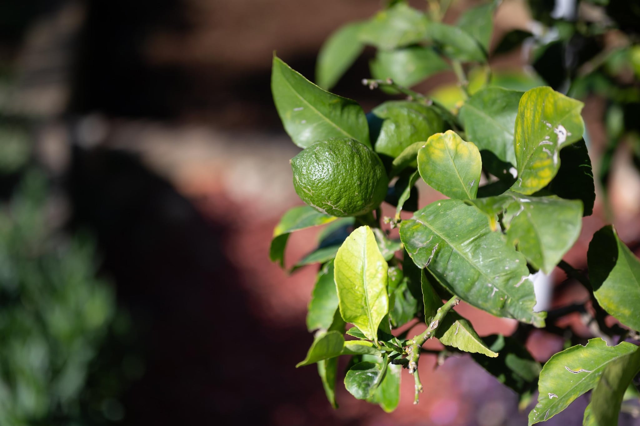 Holiday home Antonela-Sfeer