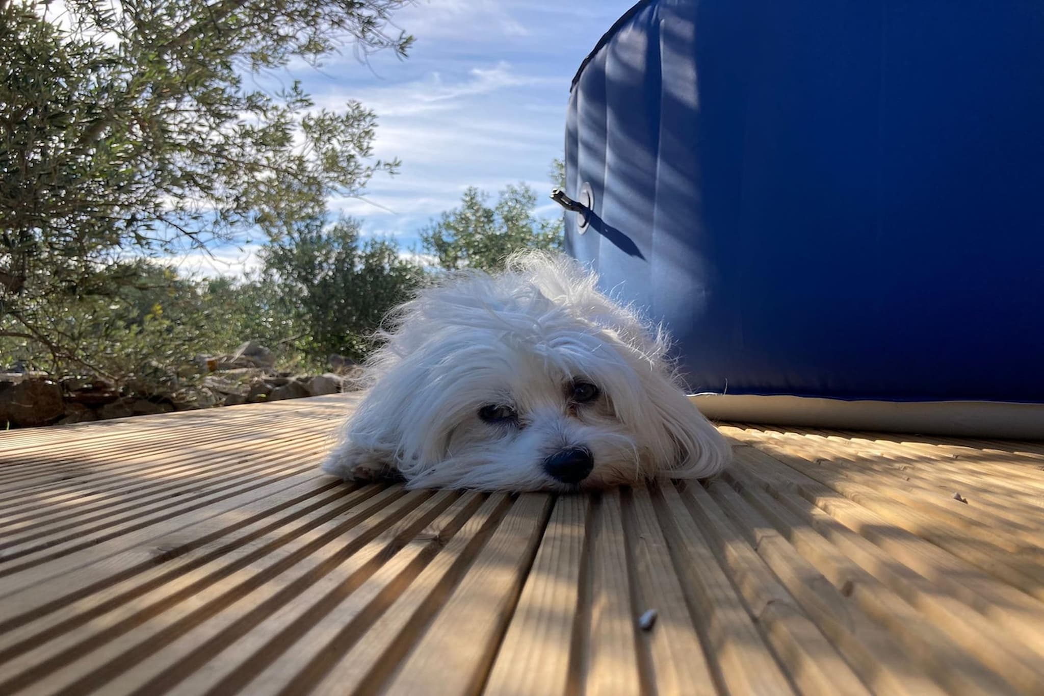 Adriatic Heritage Glamping No 2-Ambiente