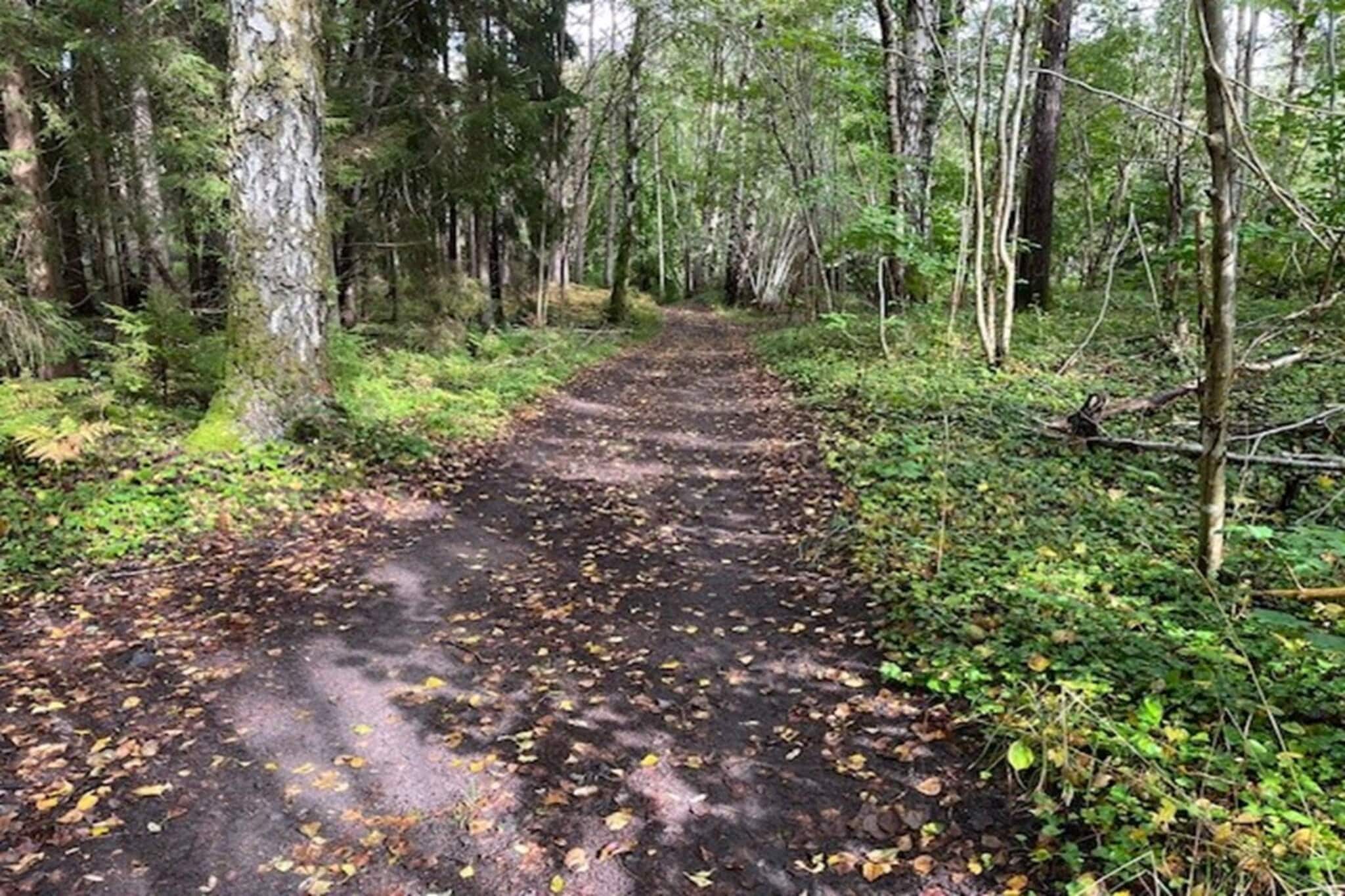 6 Personen vakantie huis in STRÖMSTAD-Niet-getagd