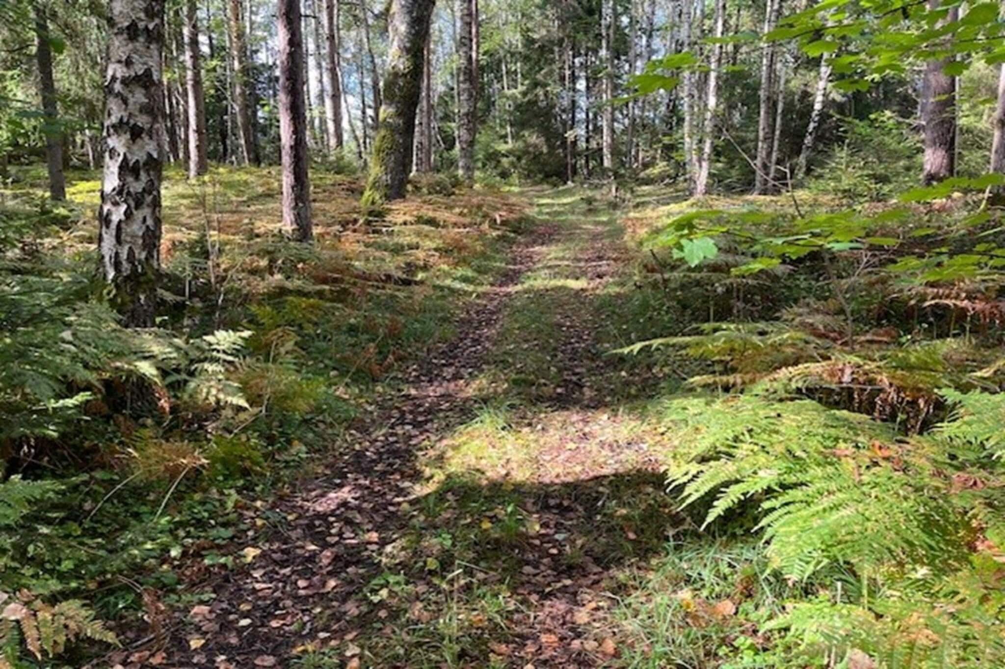 6 Personen vakantie huis in STRÖMSTAD-Niet-getagd