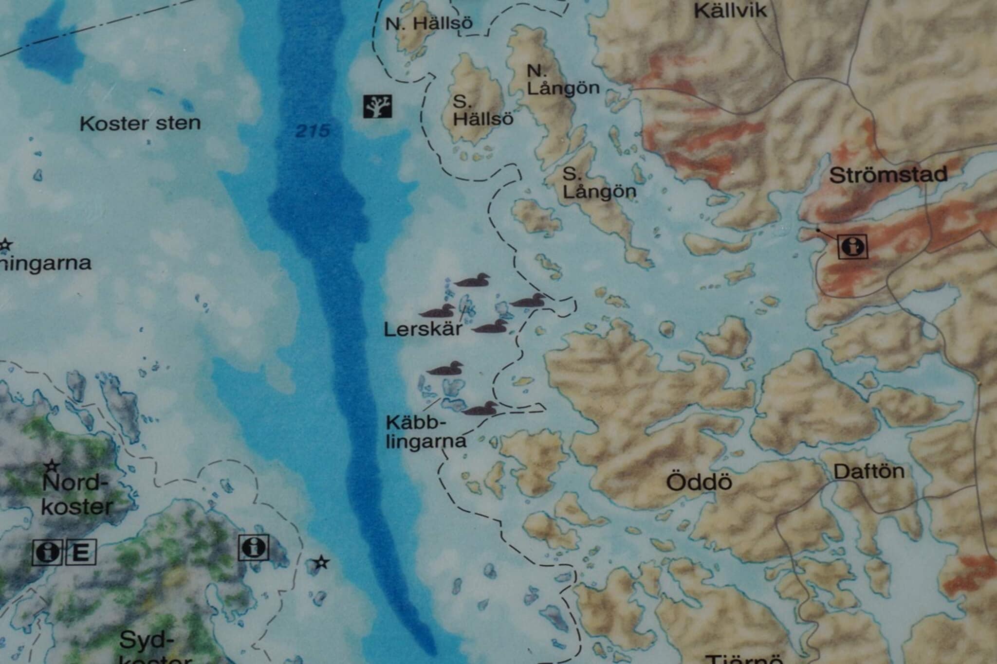 6 Personen vakantie huis in STRÖMSTAD-Niet-getagd