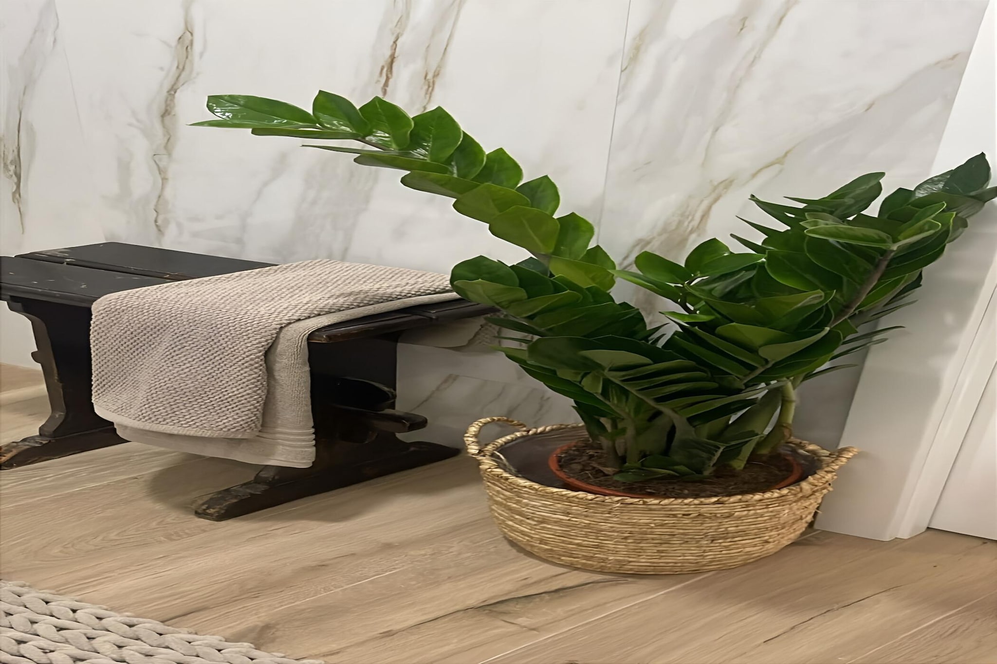 Golegã Boutique Apartment By Gt House-Sfeer