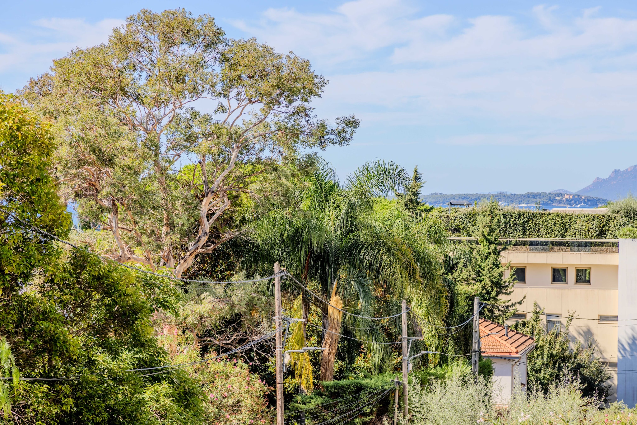 MB-2-PINS-M-Non tagué