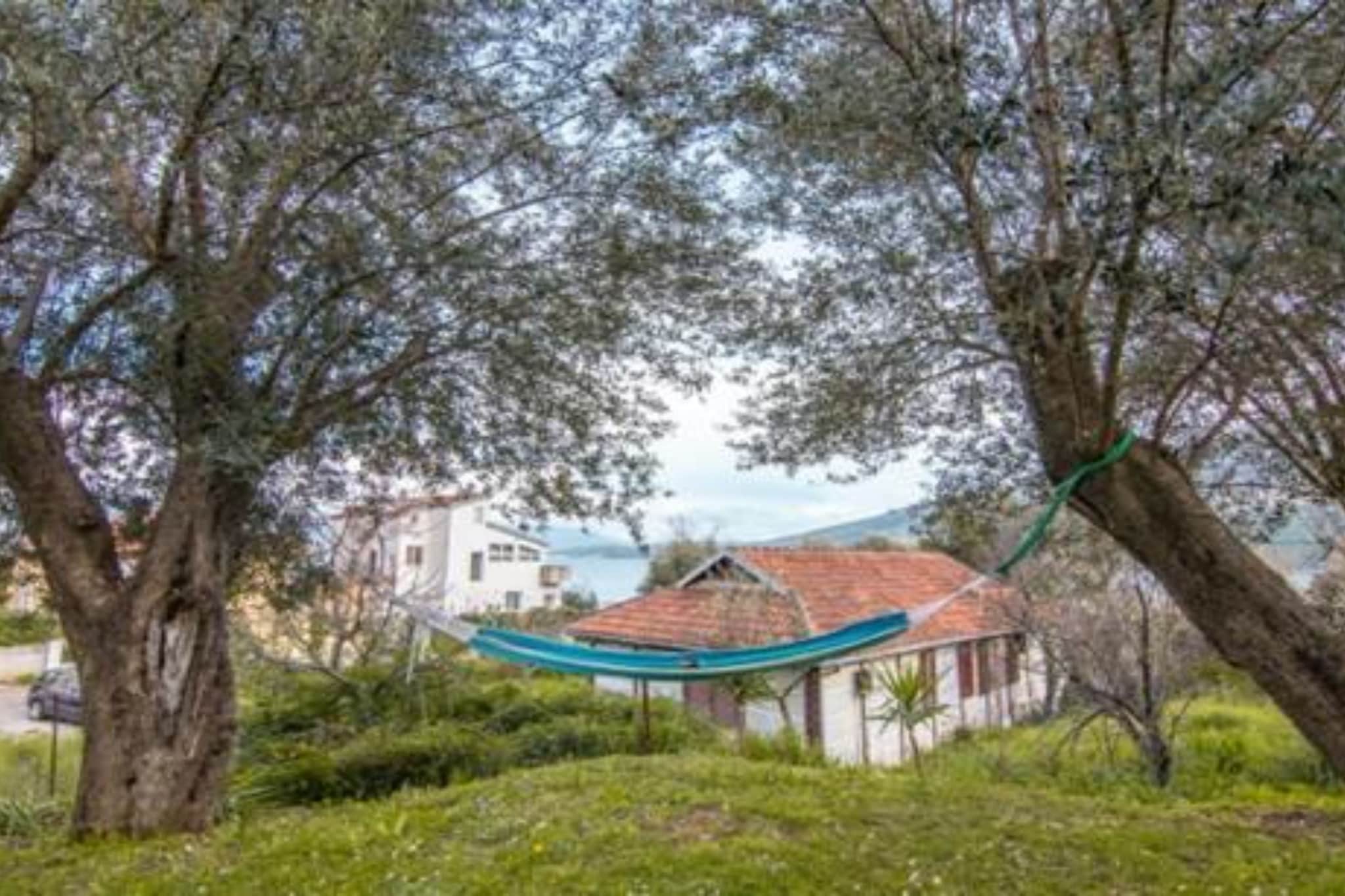 Apartments Savić near the Sea 4 - Jardins en été