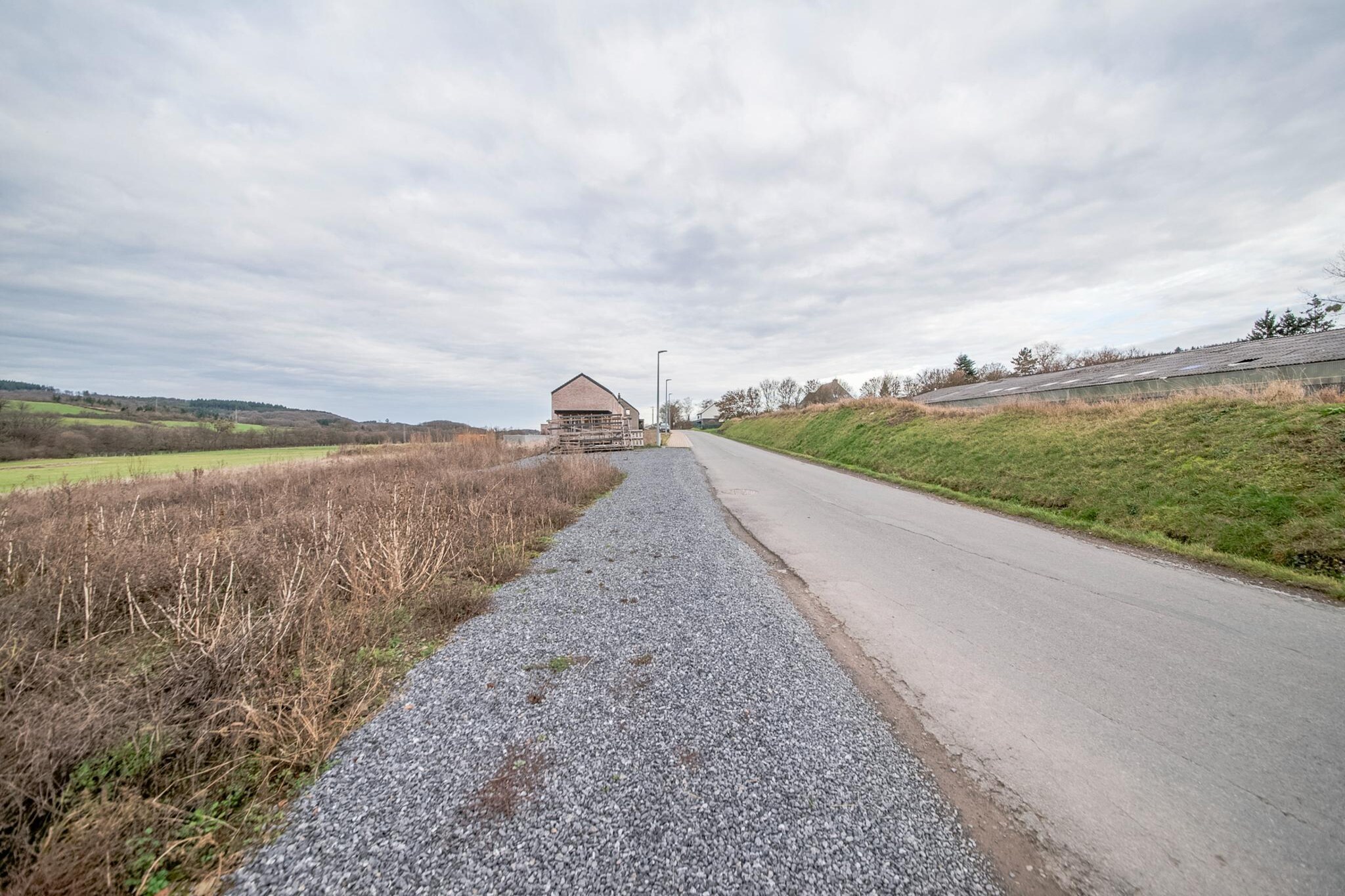 Le vol du milan-Gebieden zomer 1km