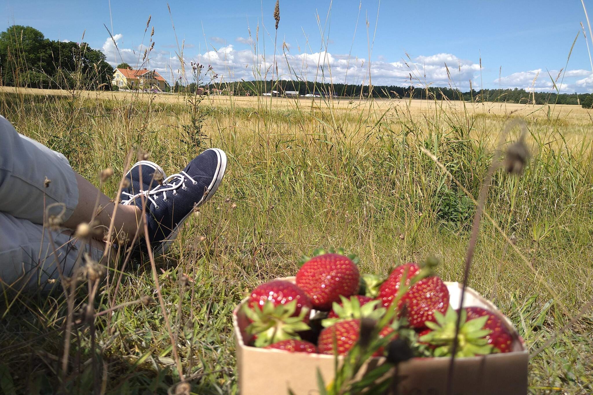 5 person holiday home in ESKILSTUNA