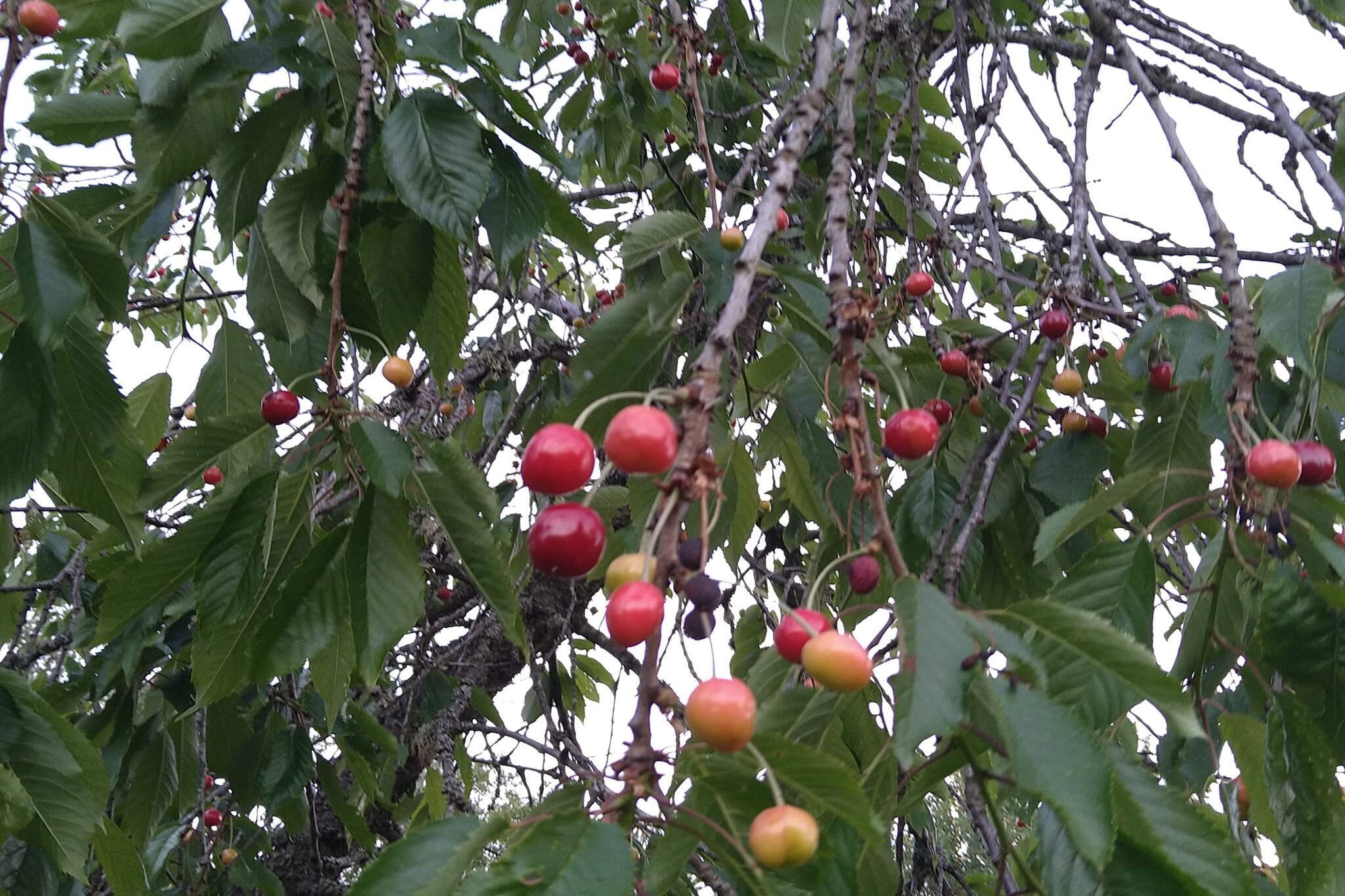 5 person holiday home in ESKILSTUNA-Outdoor