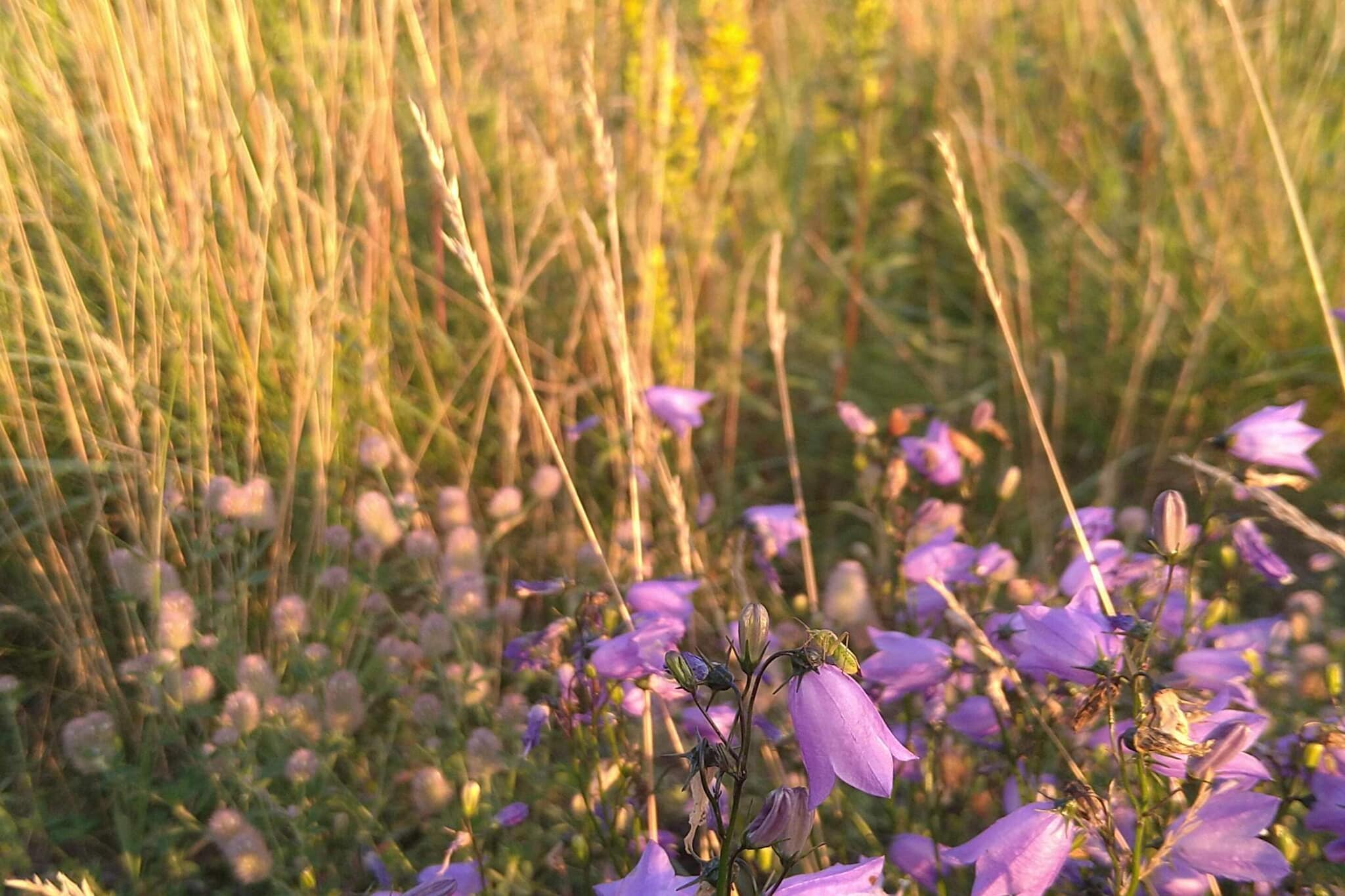 5 person holiday home in ESKILSTUNA-Outdoor