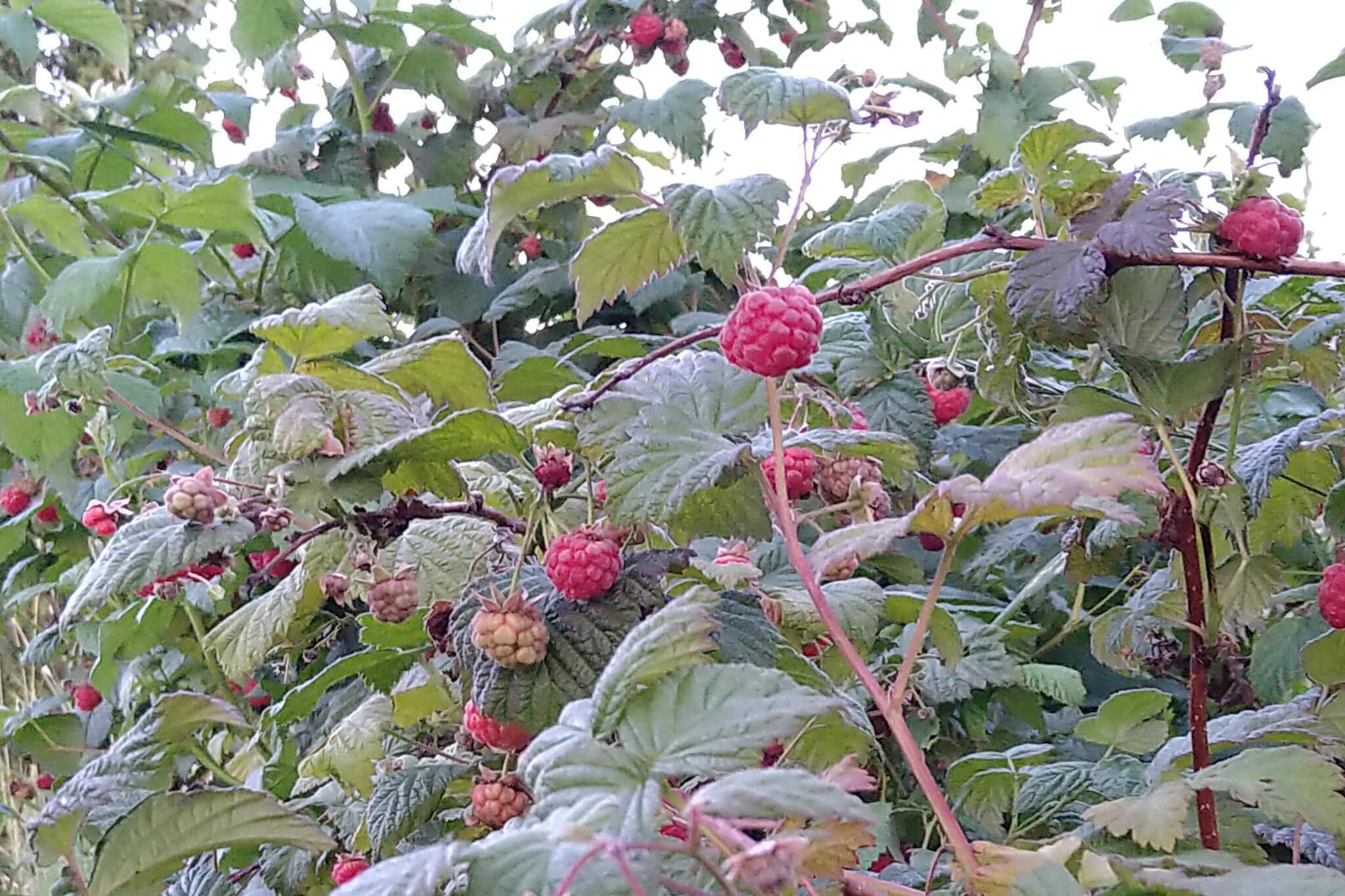 5 person holiday home in ESKILSTUNA-Outdoor