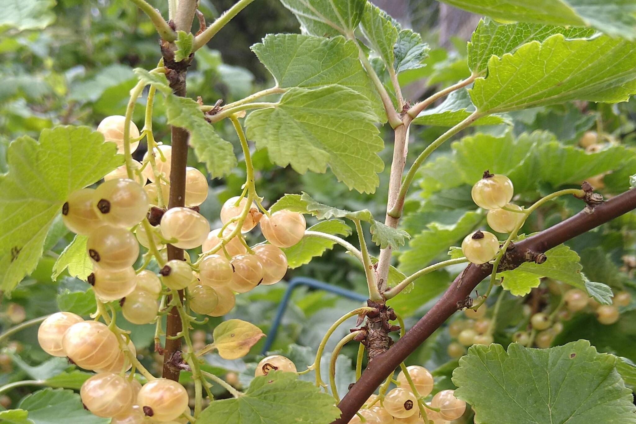 5 person holiday home in ESKILSTUNA-Outdoor