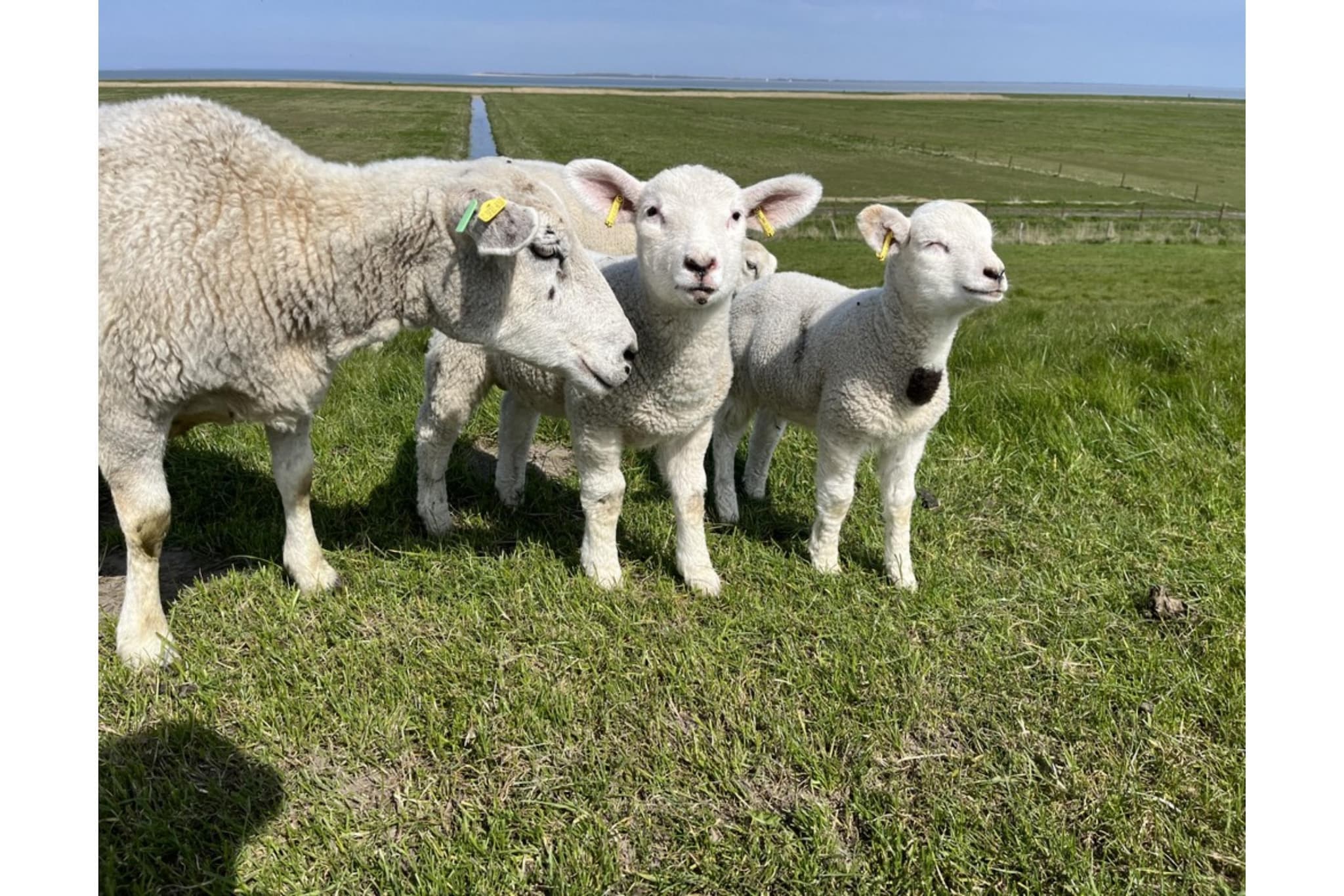 Ferienhaus Wirbelwind