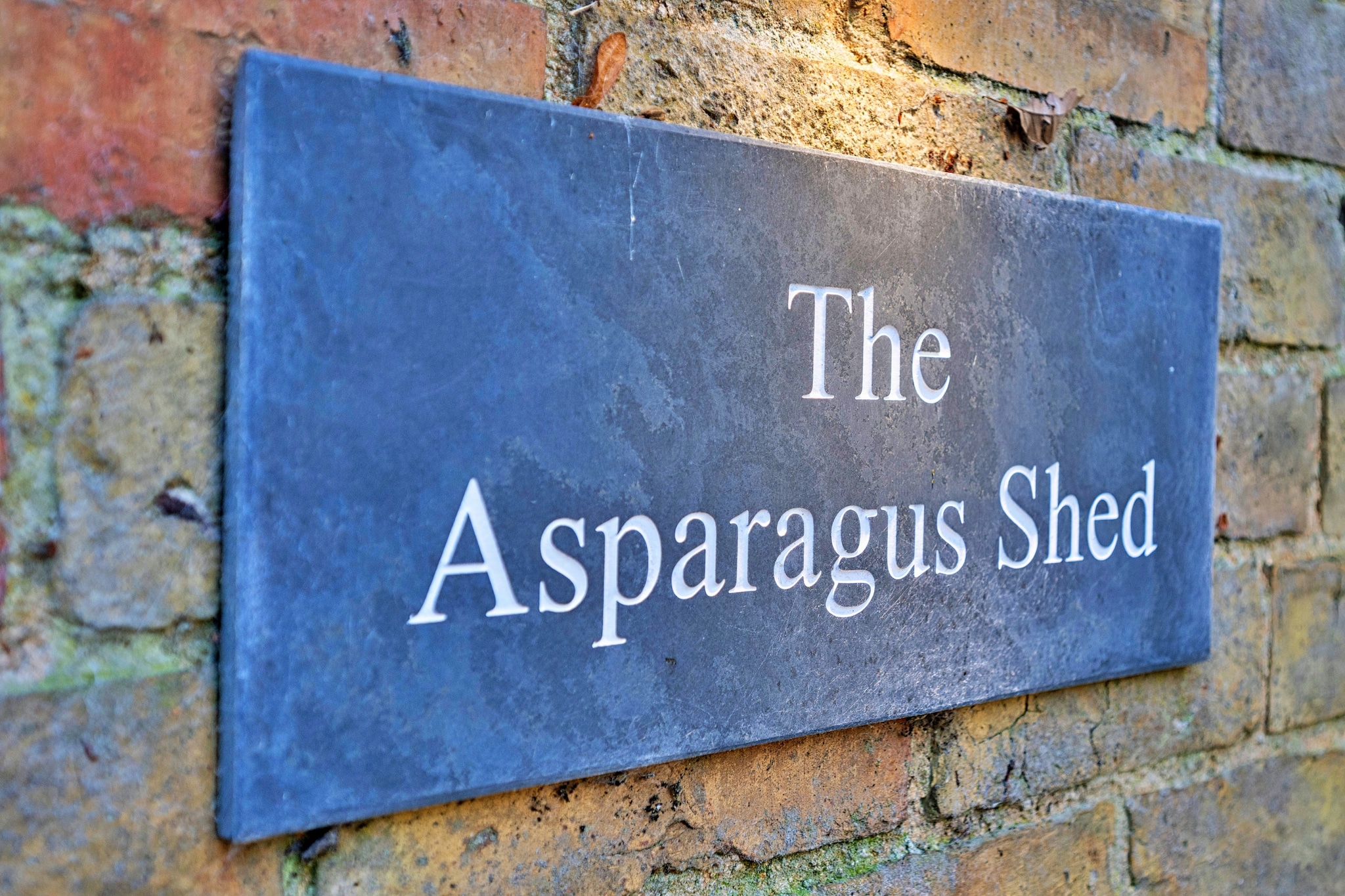 The Asparagus Shed - Ambiance