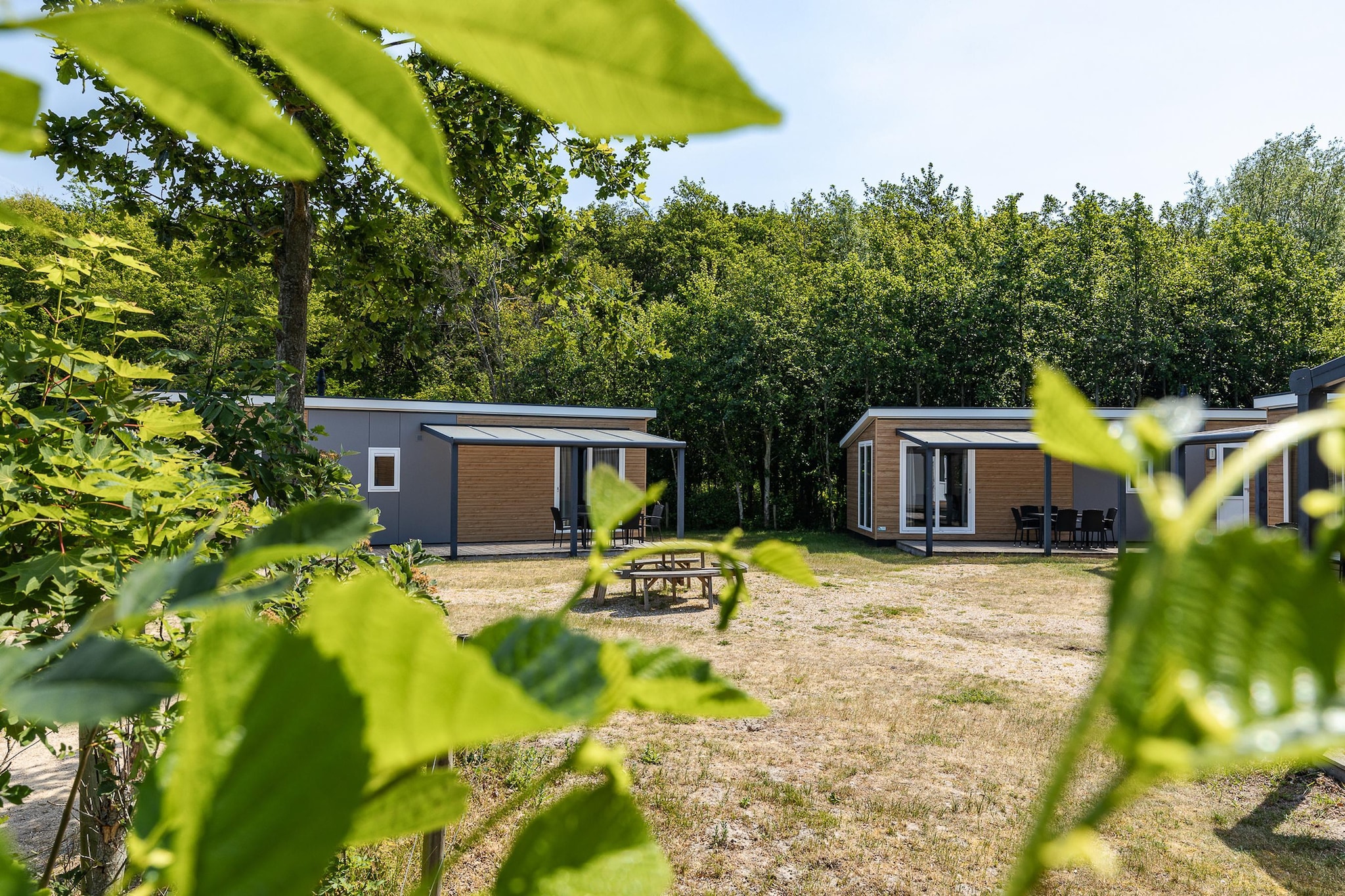 Duinhoeve Chalet Zeeland (huisdier toegestaan) - Gebieden zomer 1km