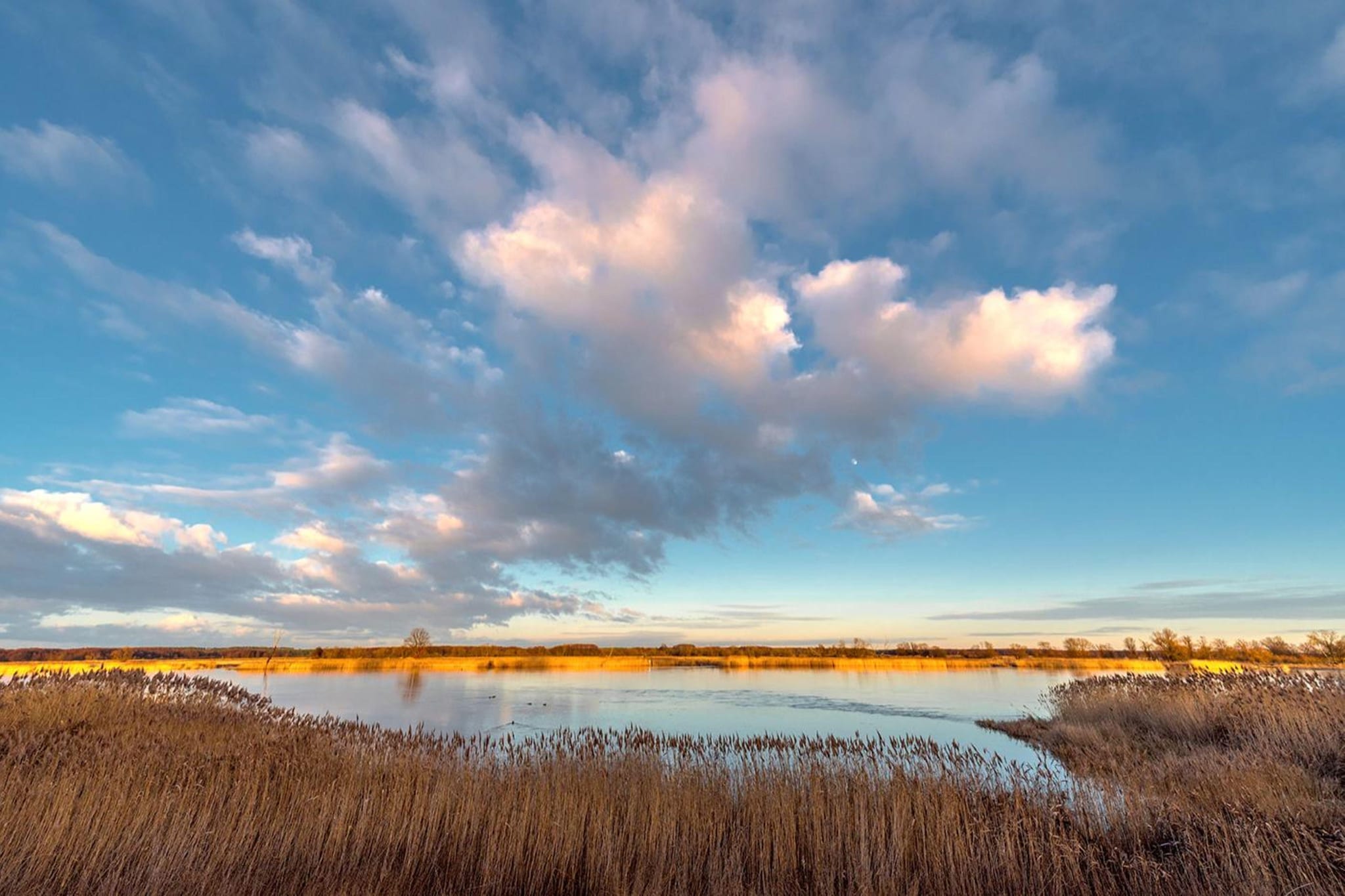 Jeamai’s Pension-Gebieden zomer 5km