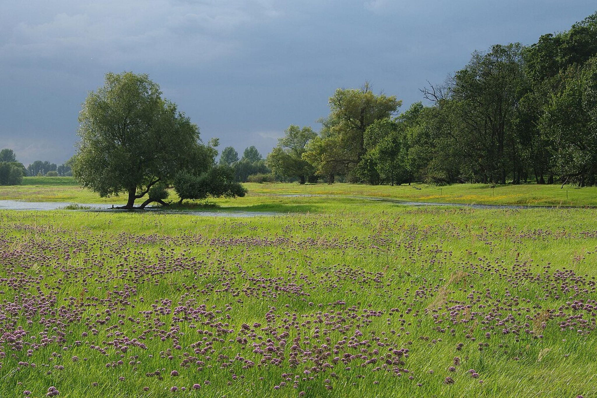 Jeamai’s Pension-Gebieden zomer 5km