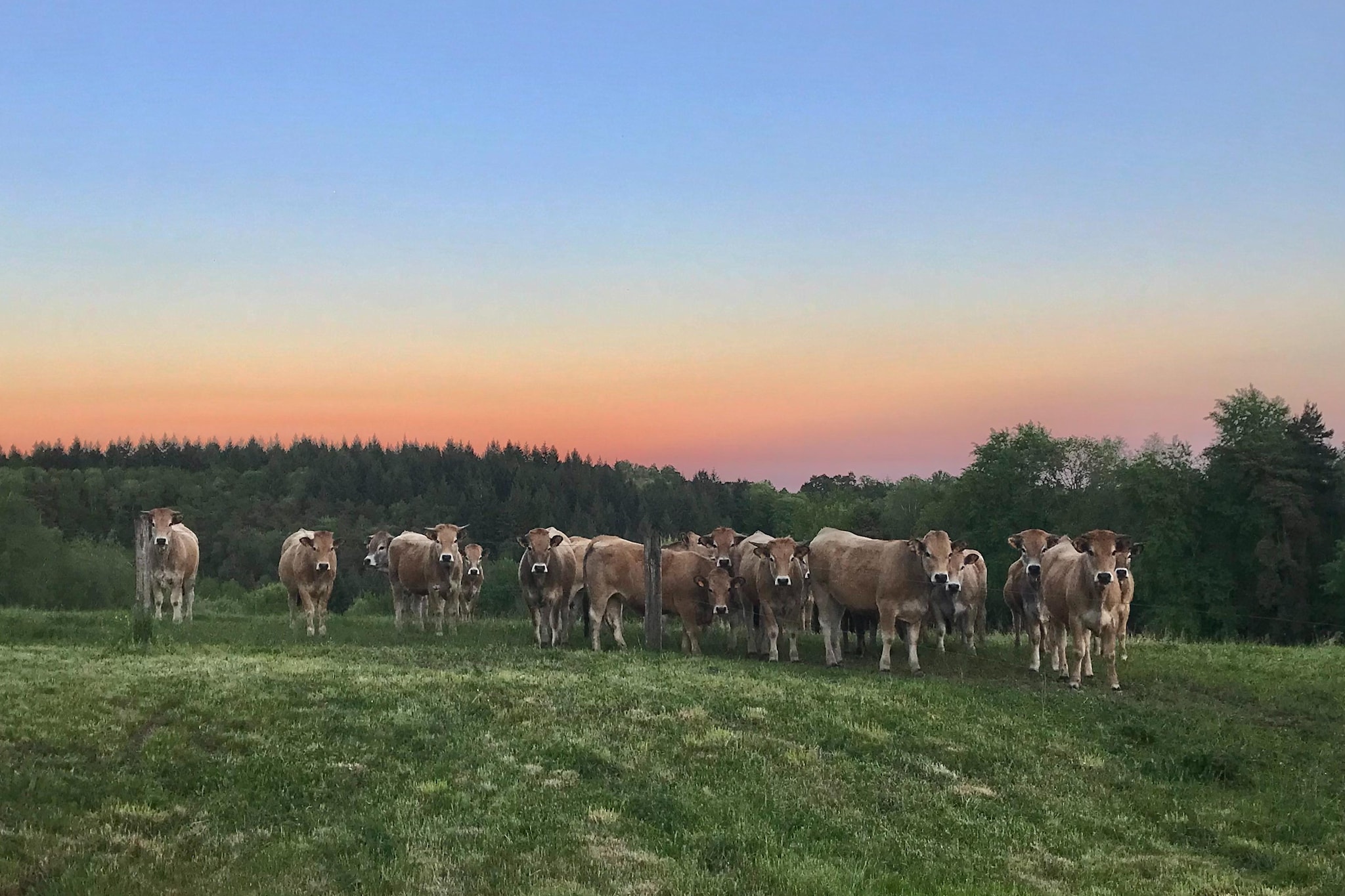 The Grange-Areas within 1km in summer