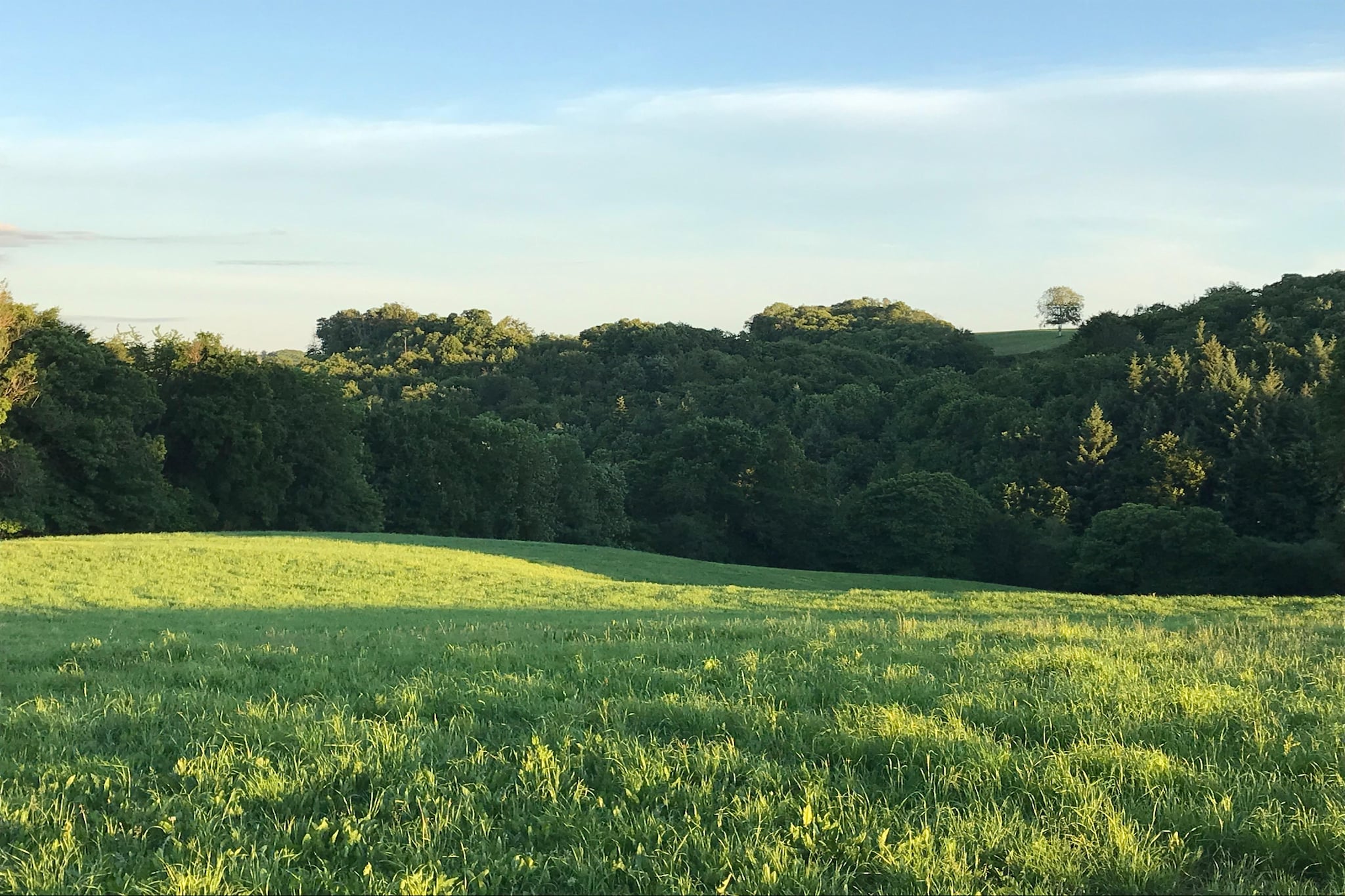 The Grange-Areas within 5km in summer