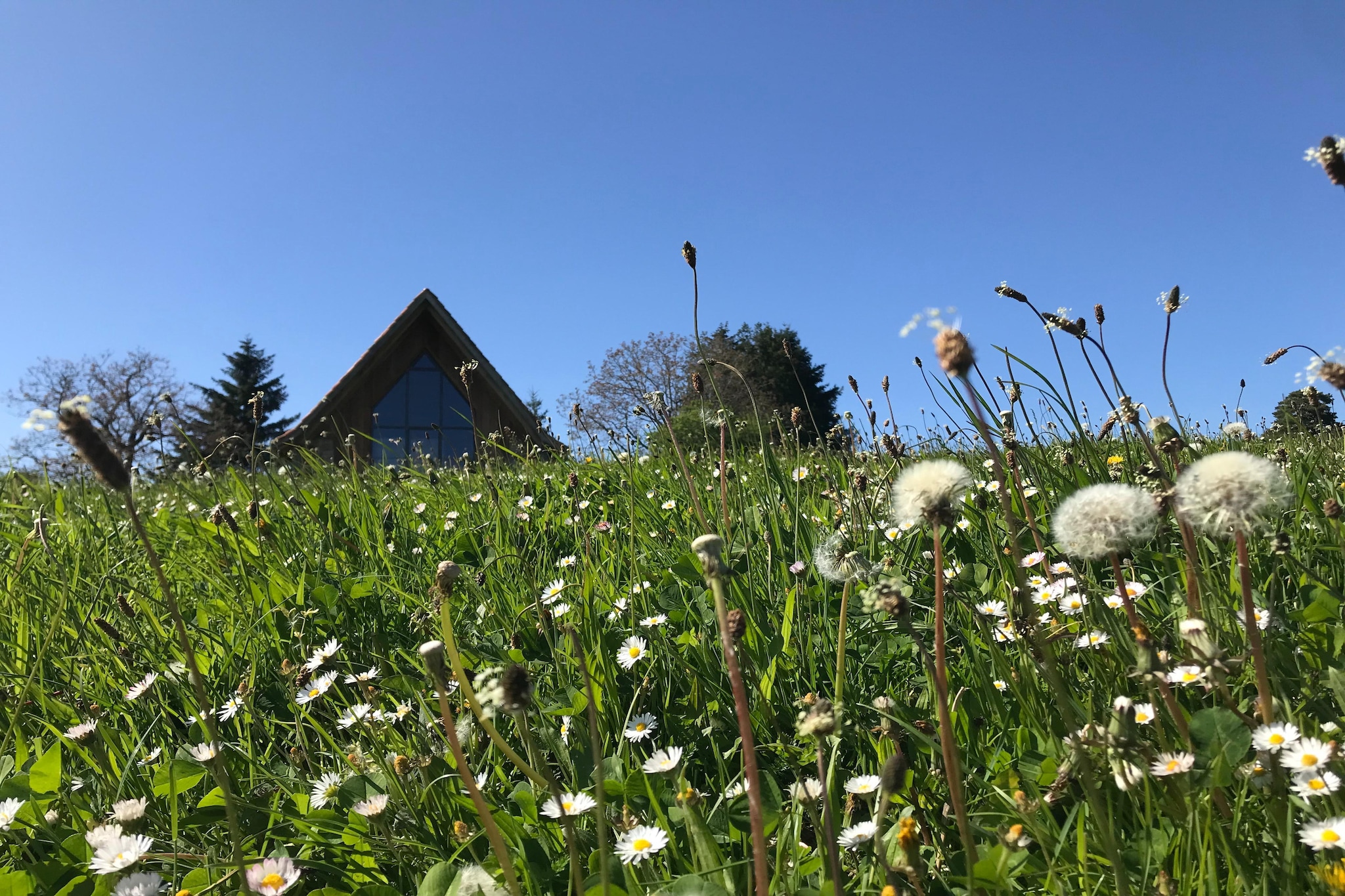 The Grange-Gardens in summer