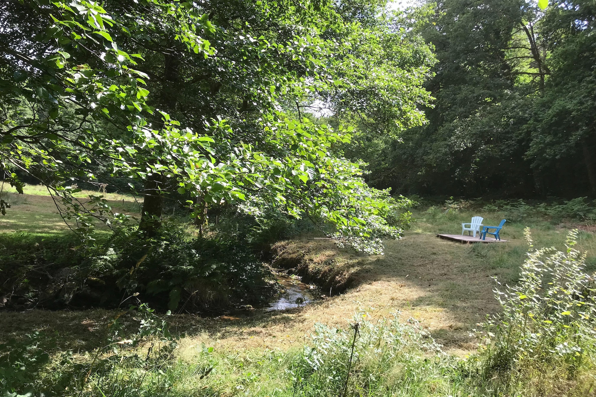 The Grange-Gardens in summer