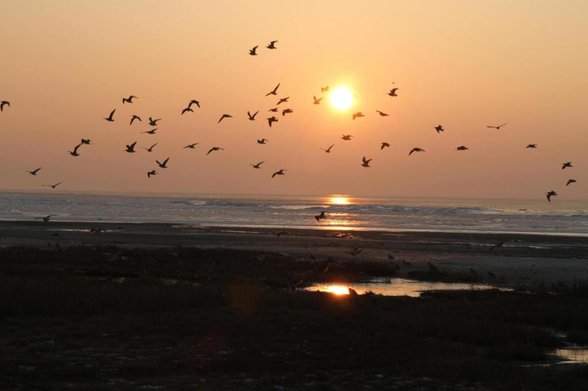 Comfort Chalet 25-Areas within 20km in summer