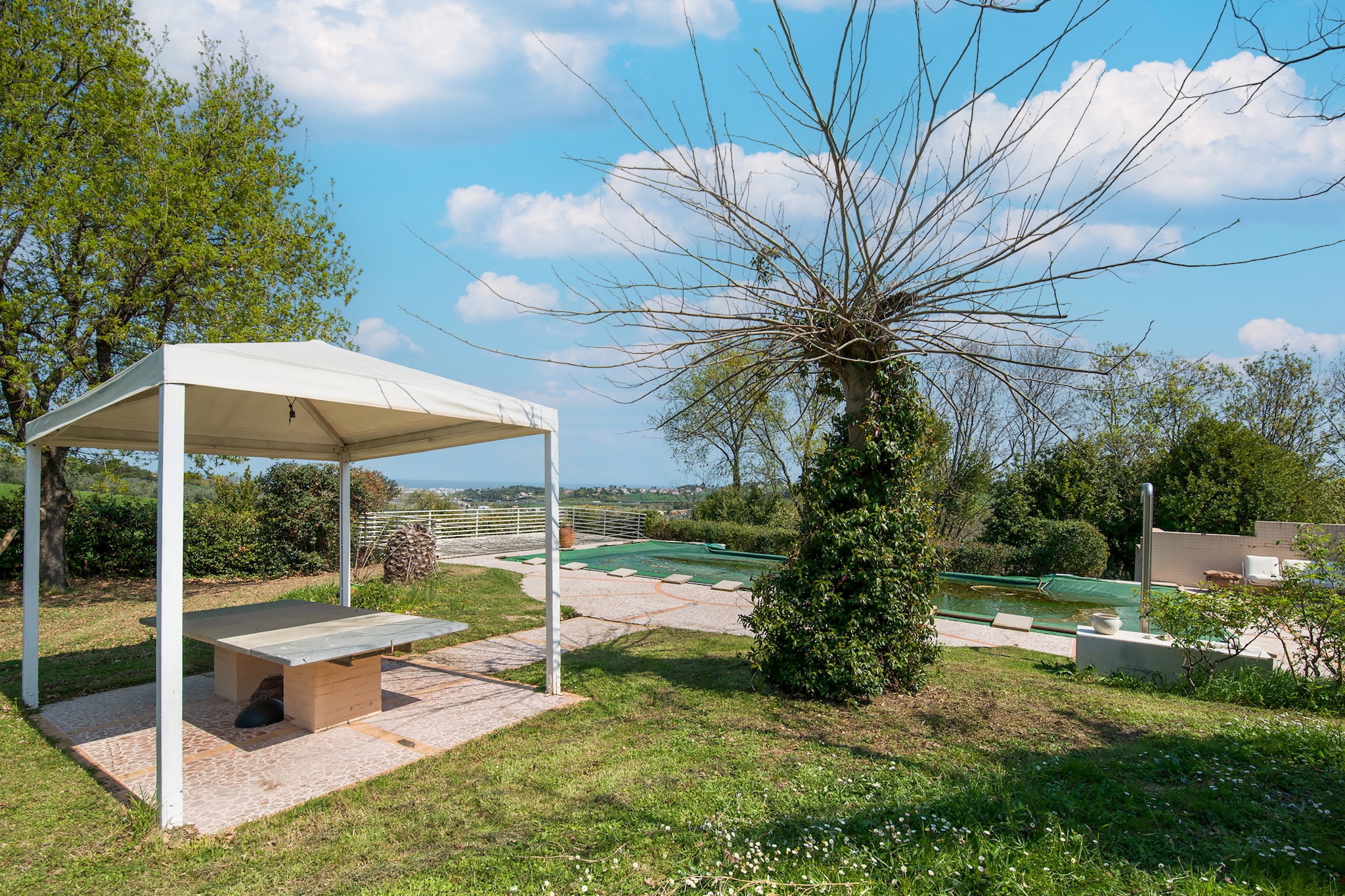 Villa tra gli Ulivi - Tuinen zomer