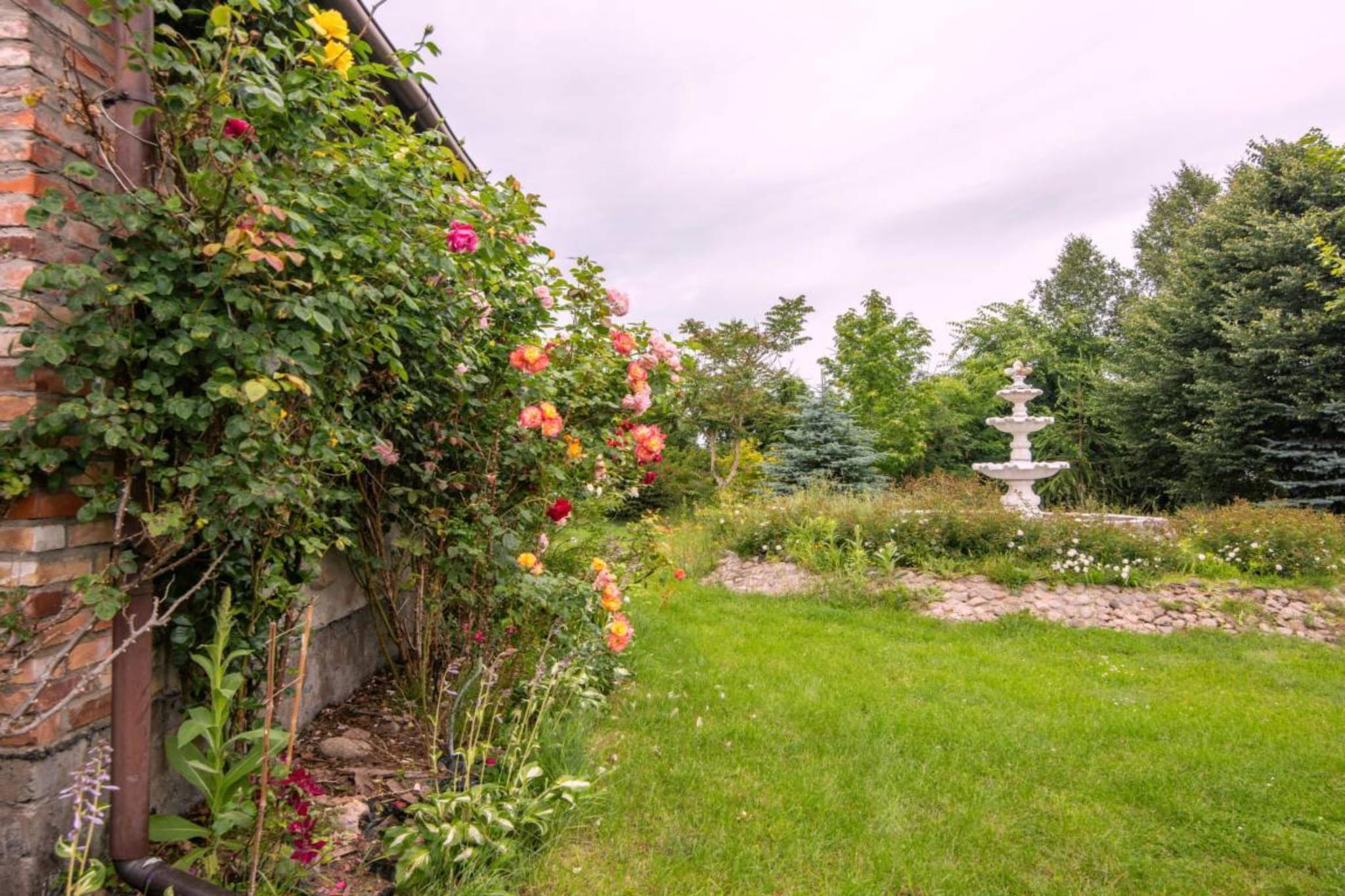 Garden Summer