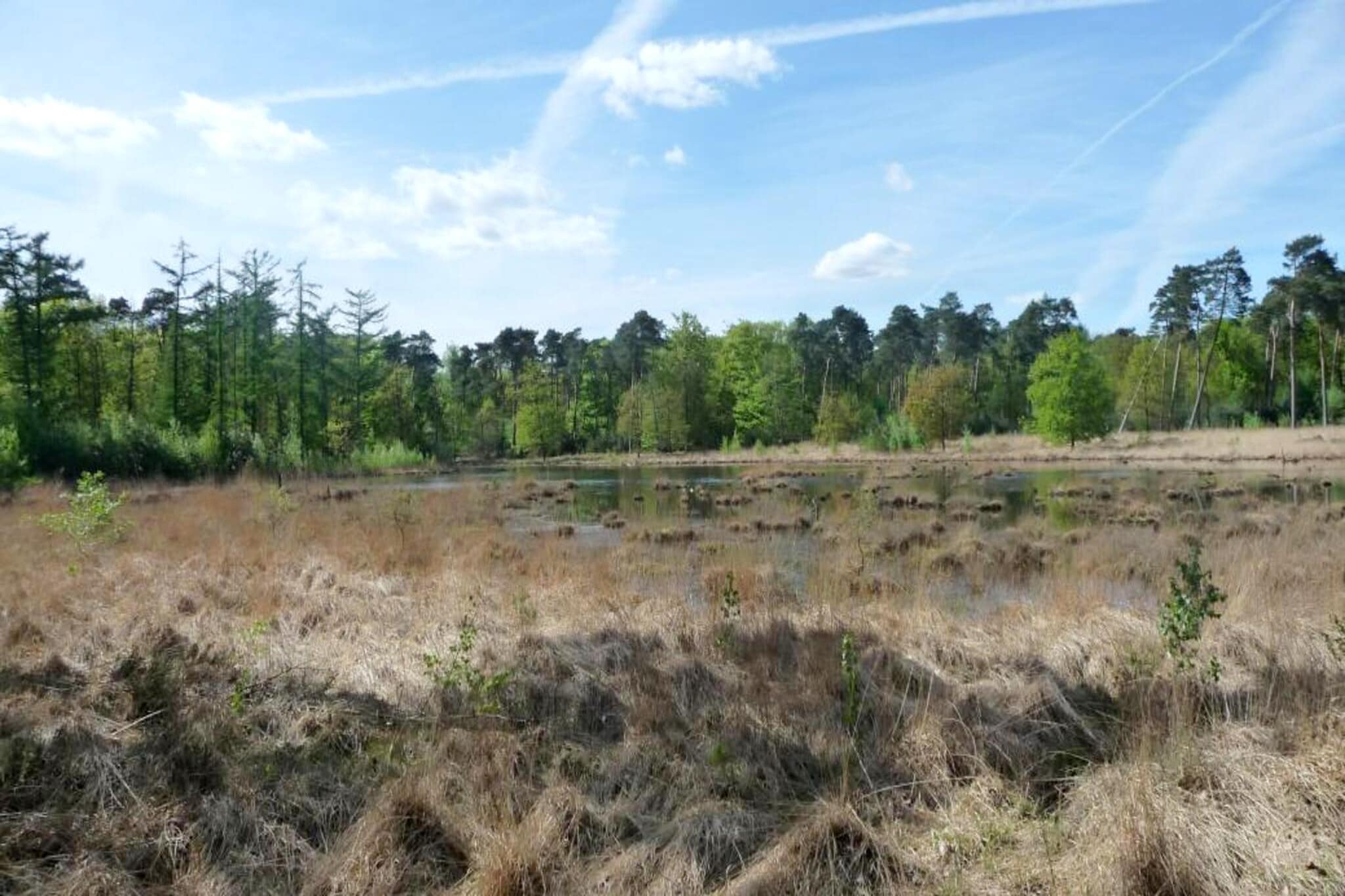 Cordelia Lodges-Gebieden zomer 5km