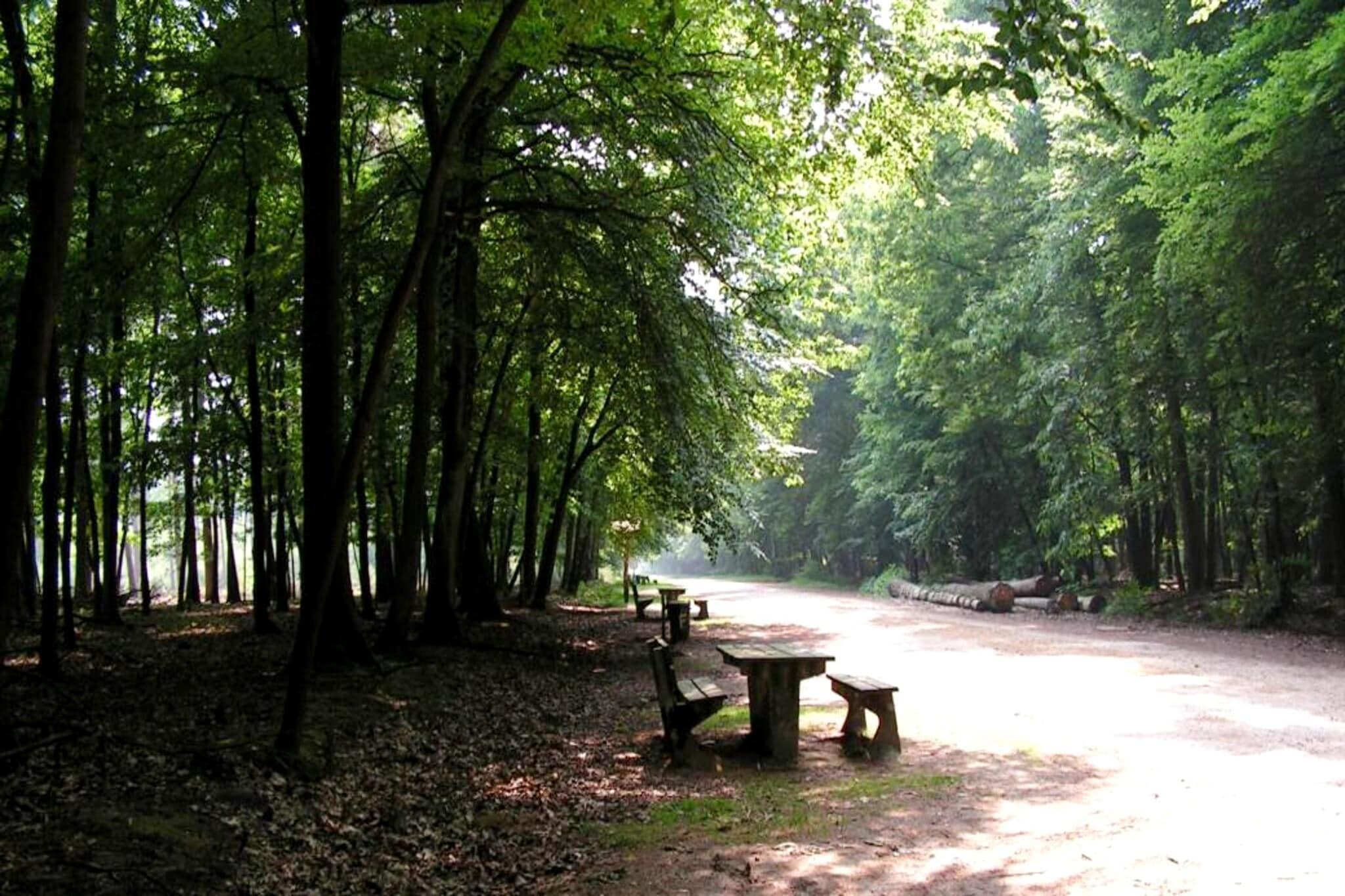 O'Hara Lodges - 4p-Gebieden zomer 5km