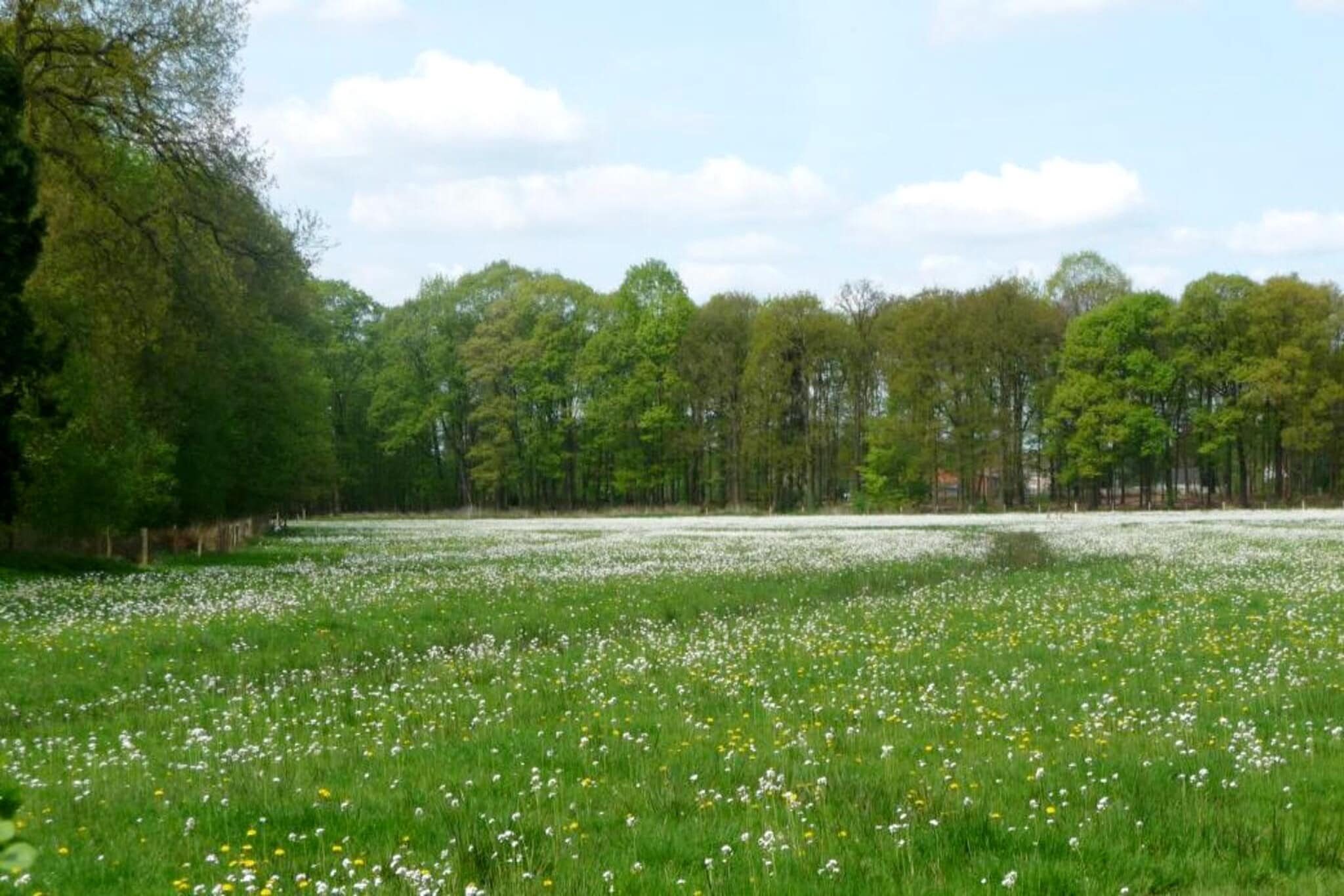 Sun Lodges - 6p-Gebieden zomer 5km