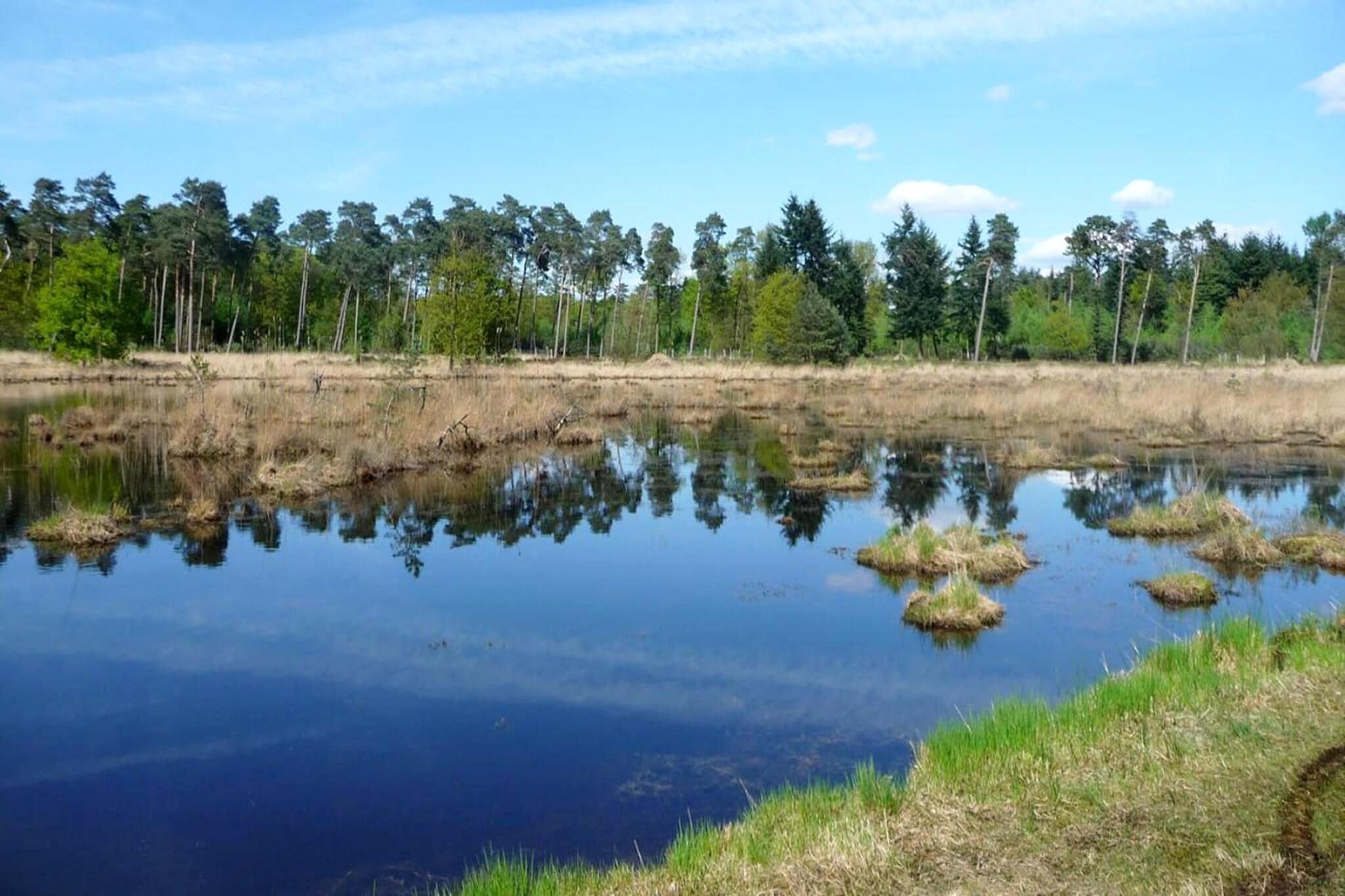 Sun Lodges - 6p-Gebieden zomer 1km