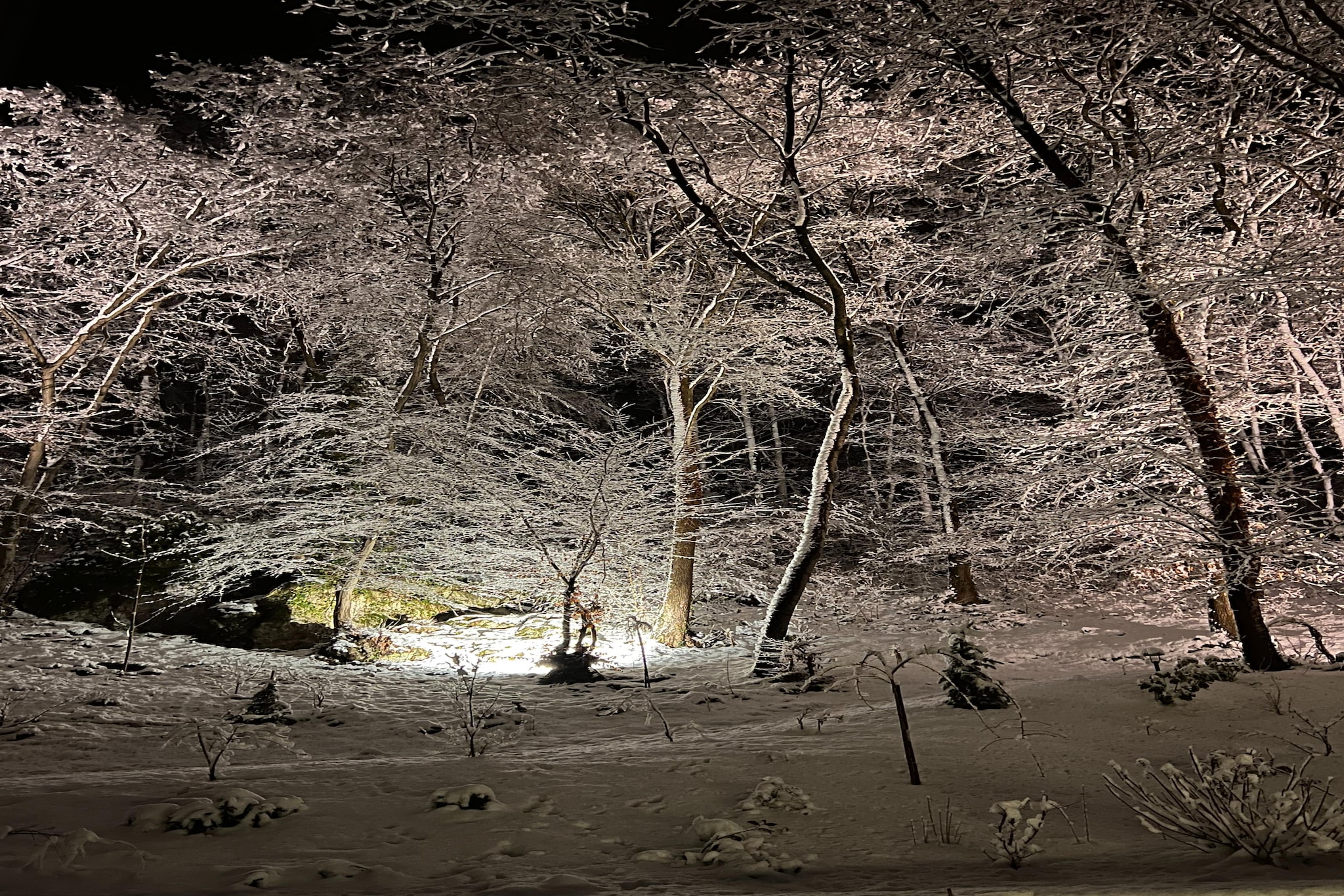 The Sweet Escape-Exterieur winter