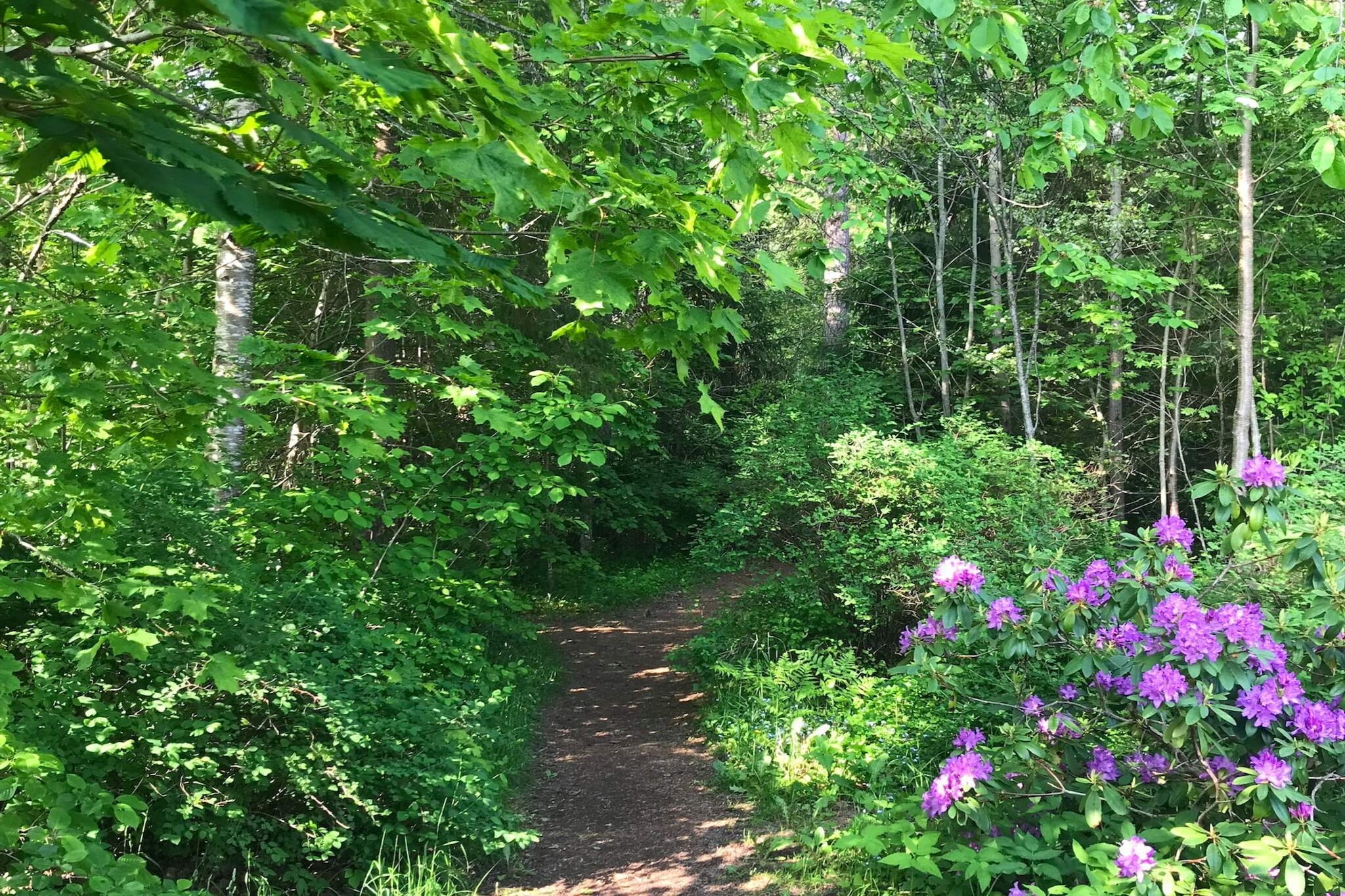 4 etoiles maison de vacances a KNIVSTA-Non tagué