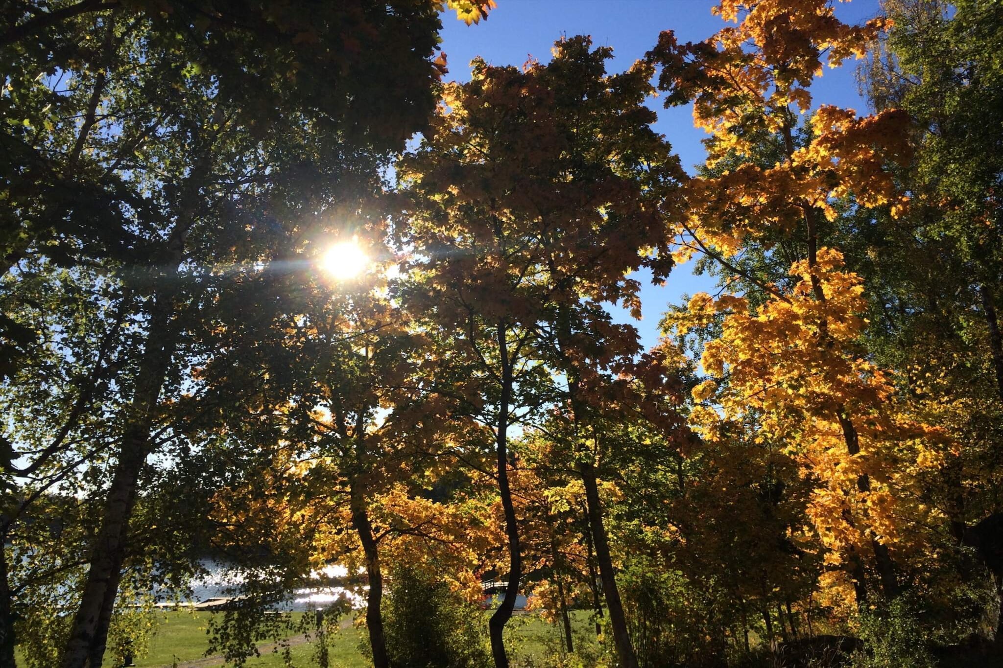 4 etoiles maison de vacances a KNIVSTA-Non tagué