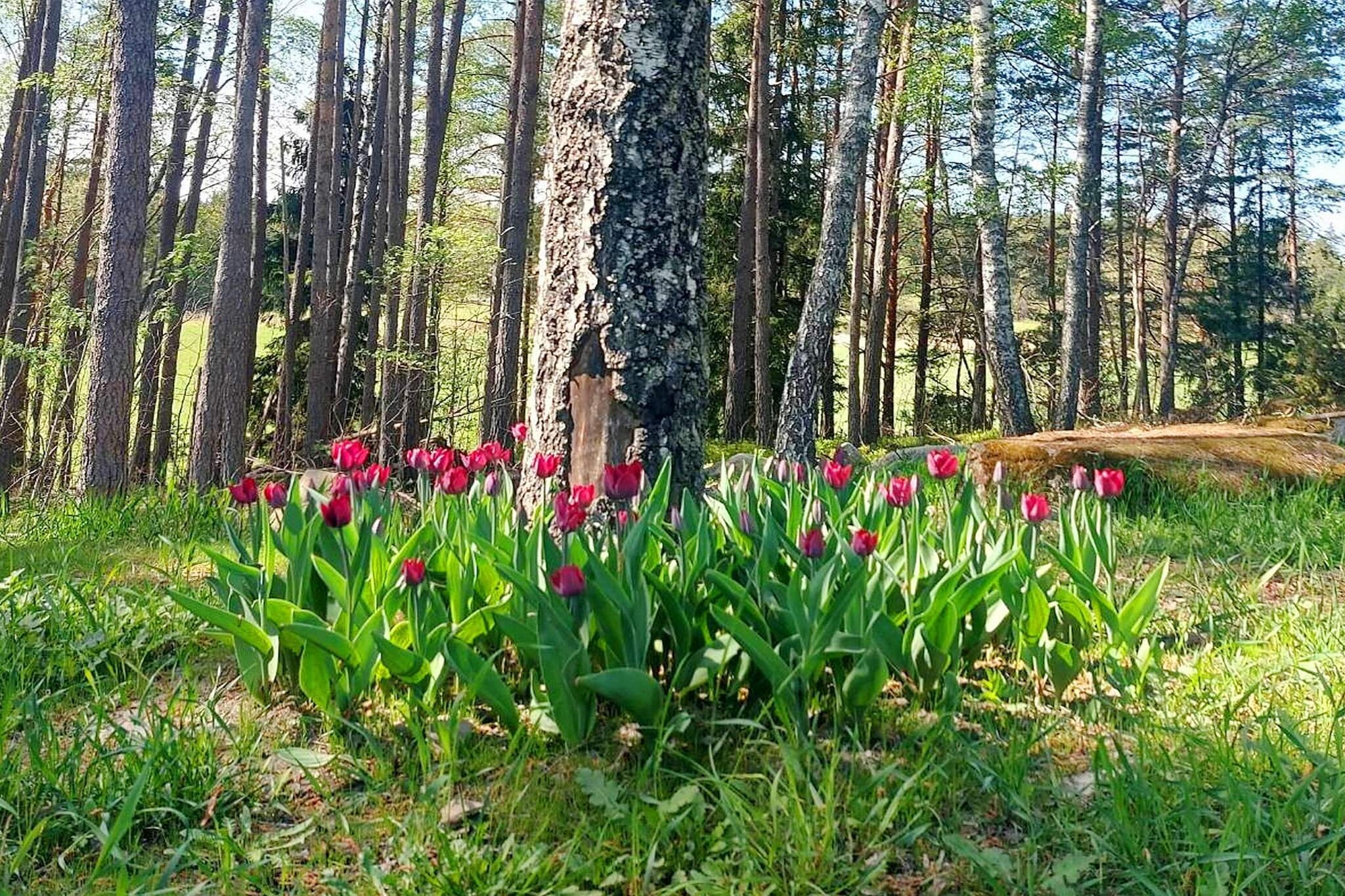 Maison de vacances pour 5 a Knutby