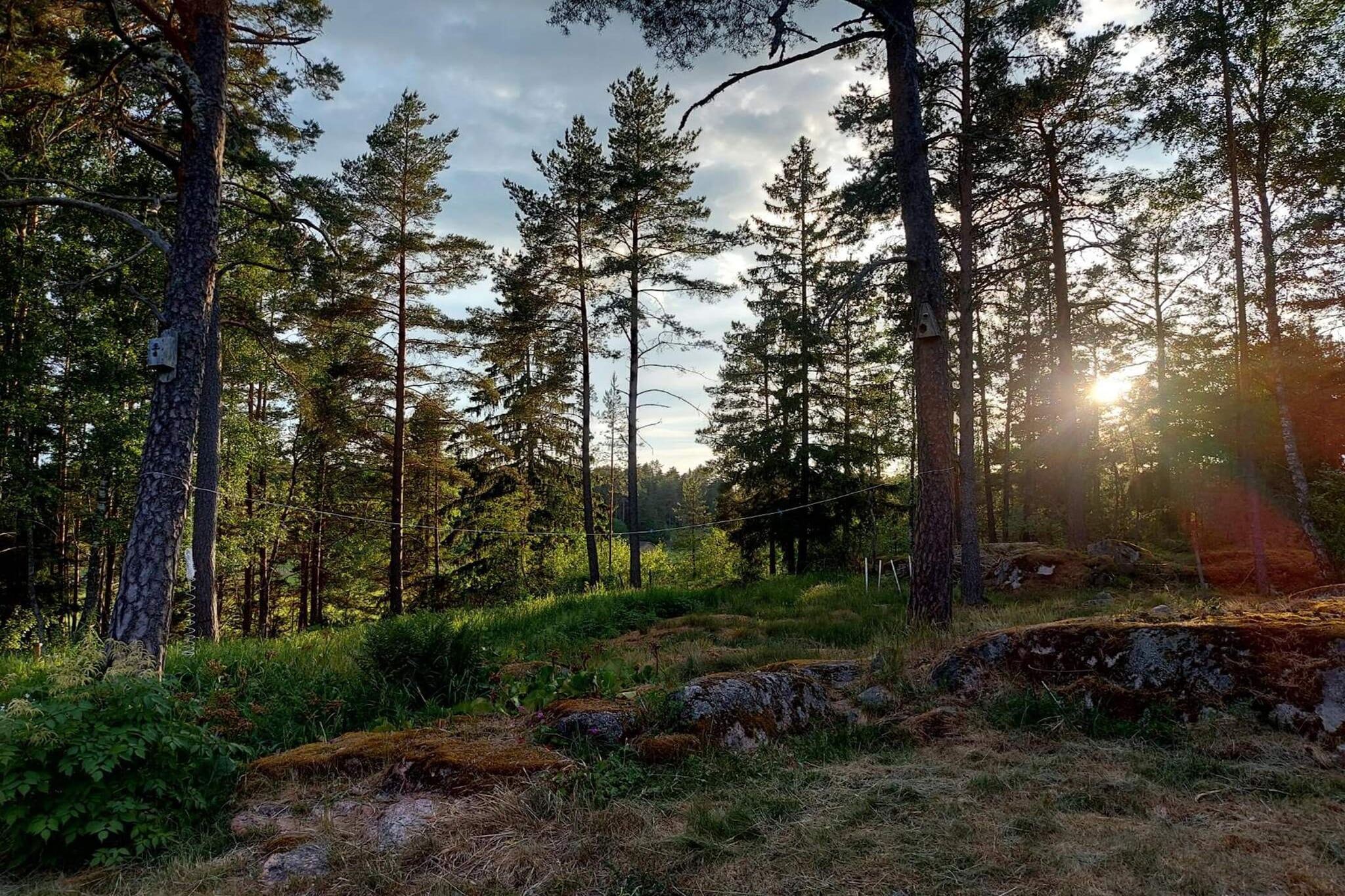 Maison de vacances pour 5 a Knutby-Extérieur